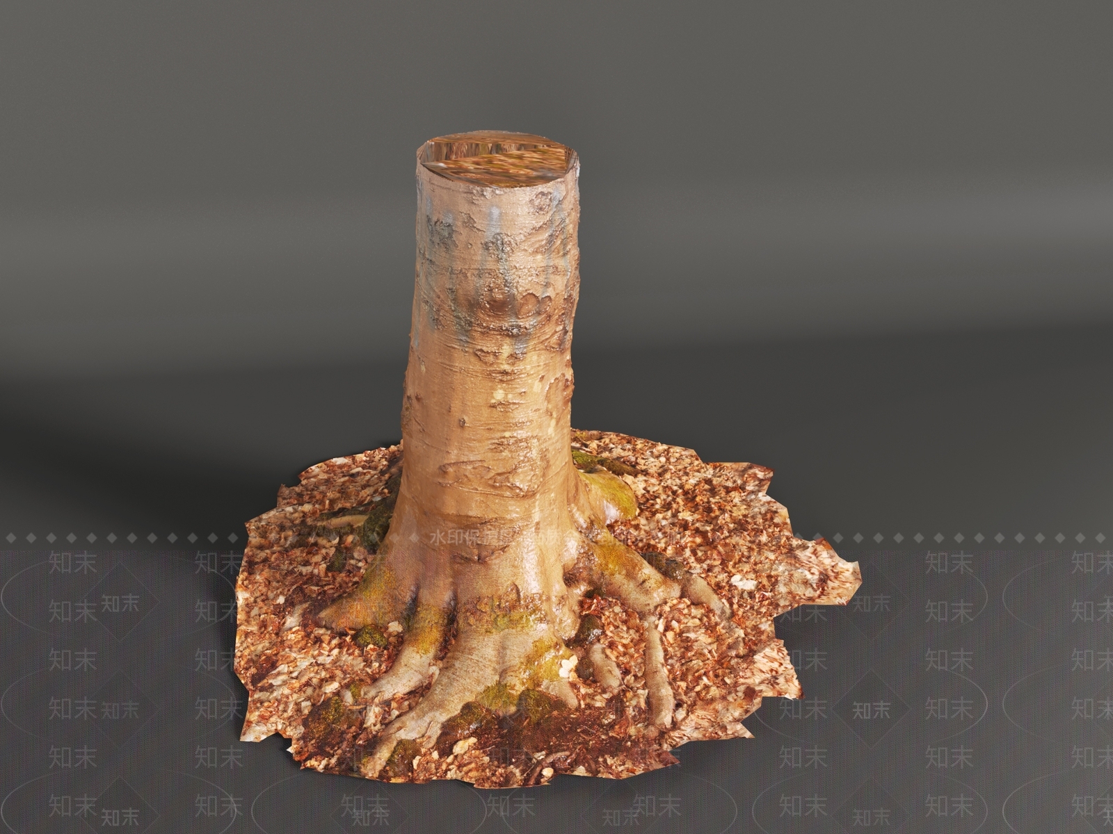 其他树木3D模型下载【ID:1191394607】
