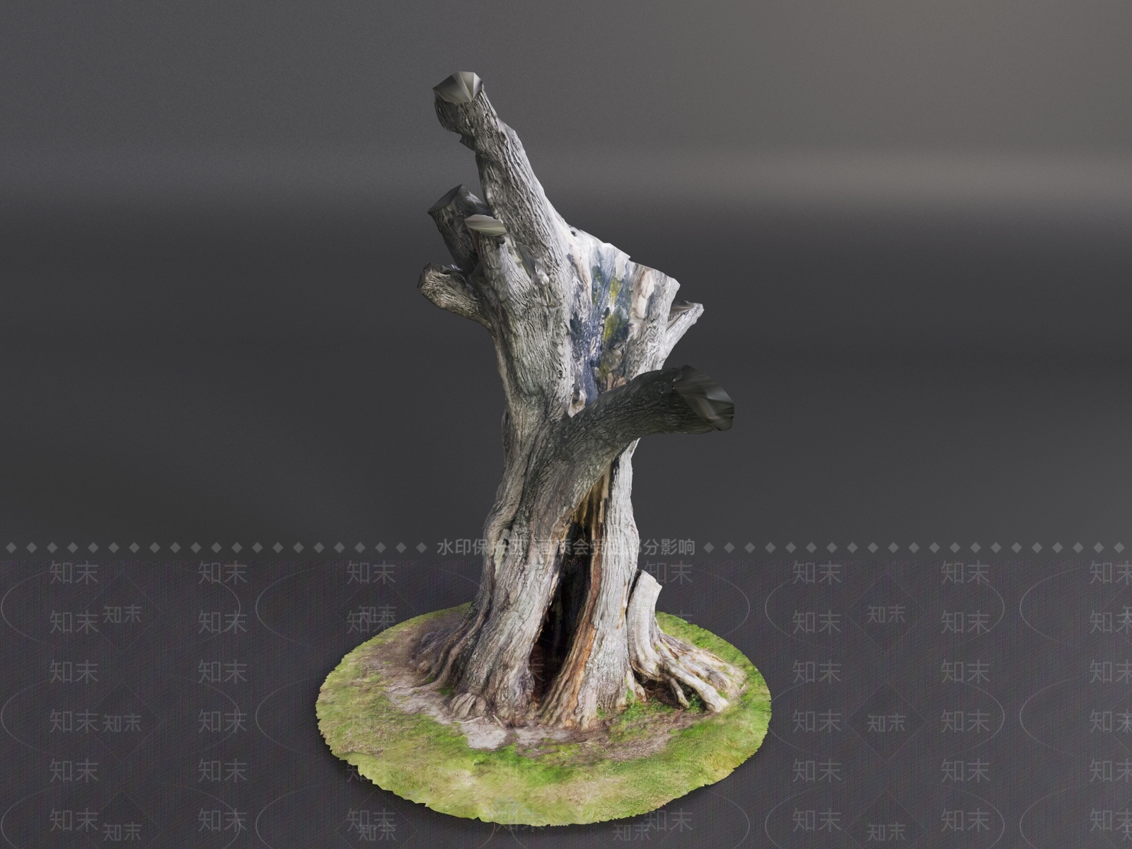 其他树木3D模型下载【ID:1191399541】