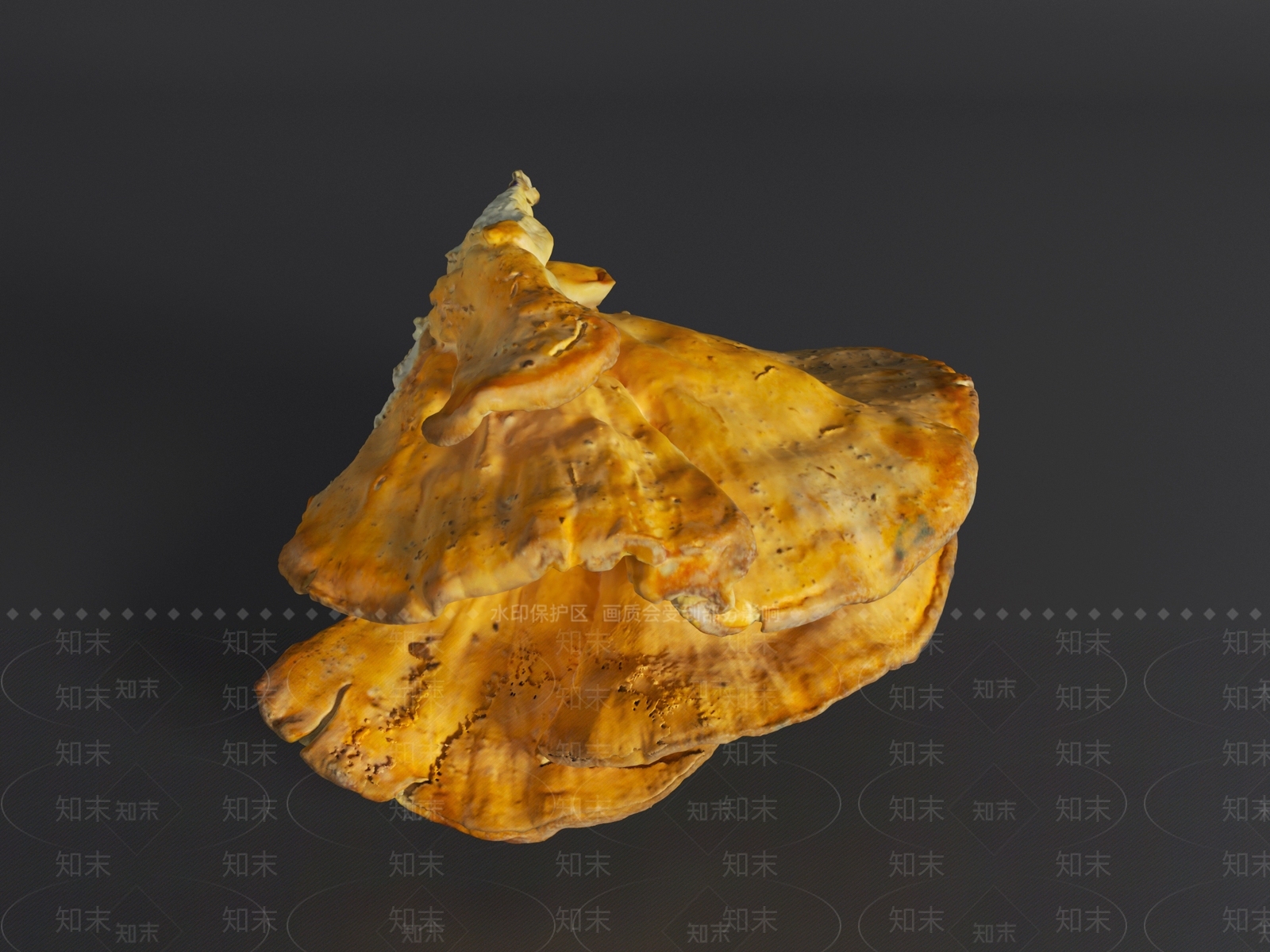 农作物3D模型下载【ID:1191400864】
