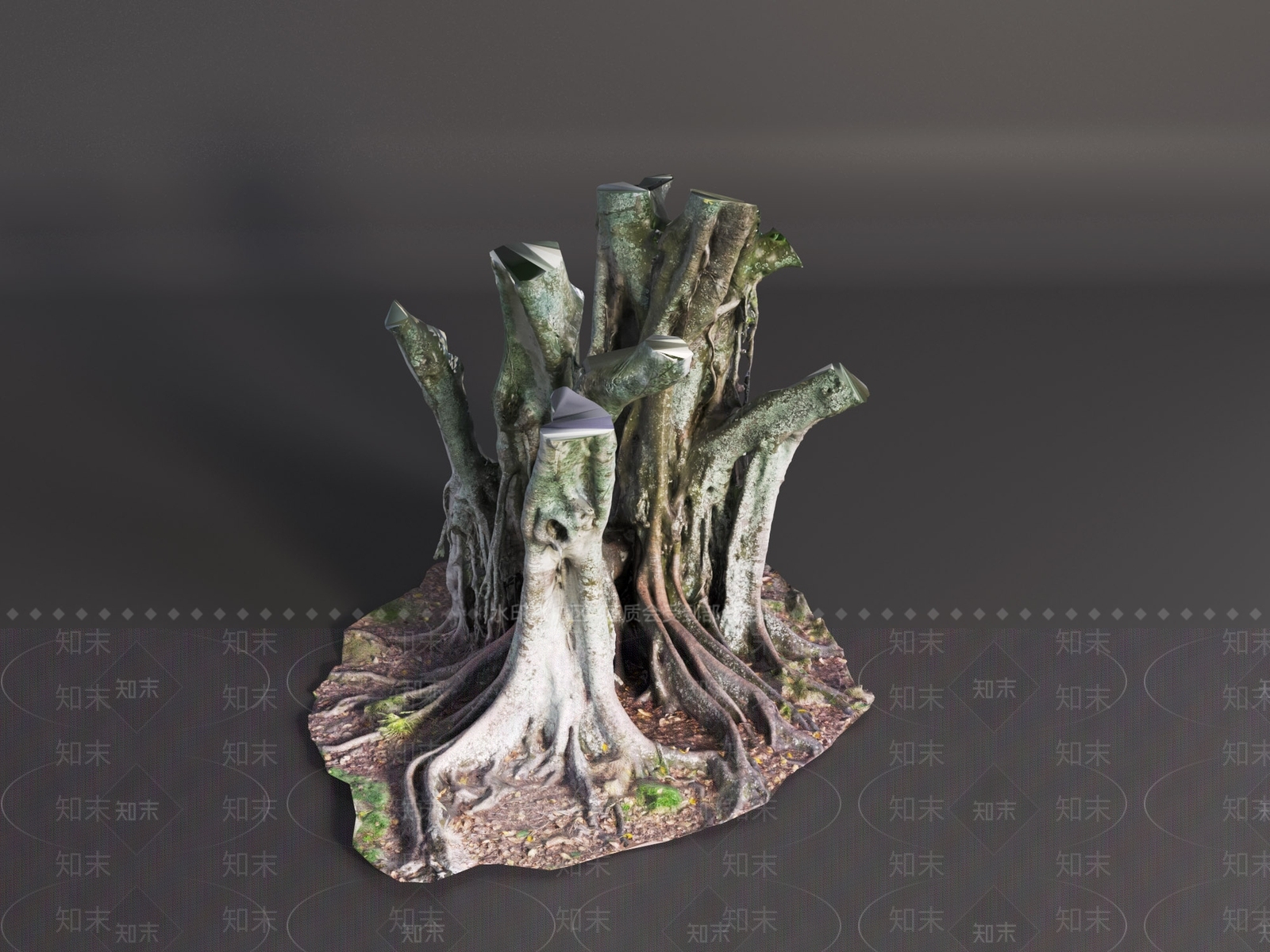 其他树木3D模型下载【ID:1191405968】