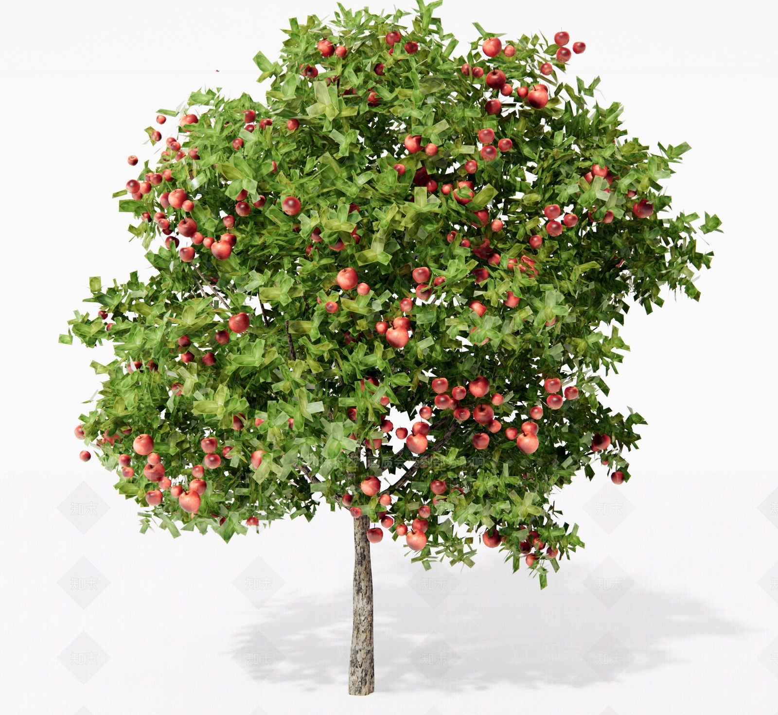 乔木3D模型下载【ID:1191508870】