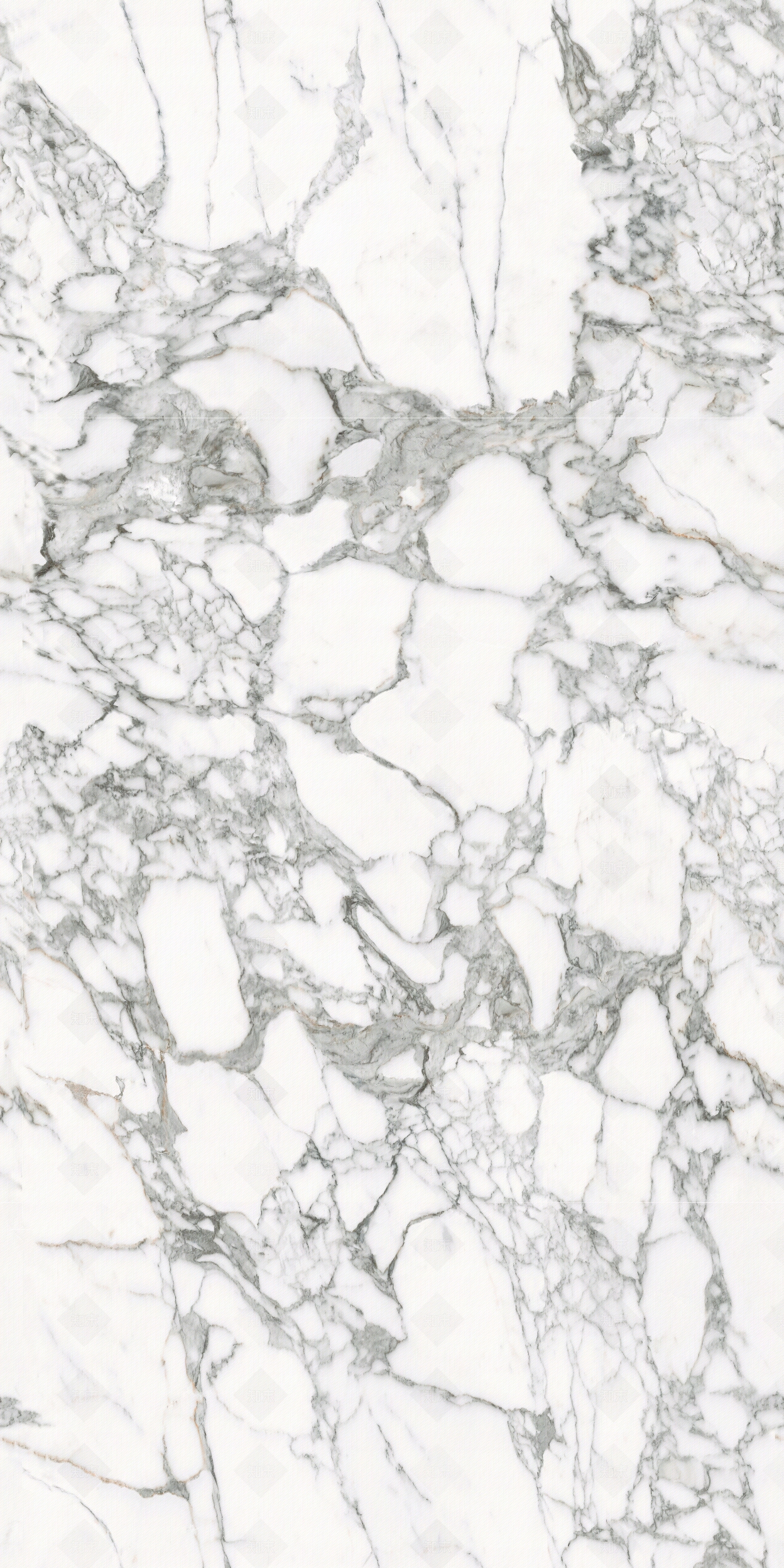 现代宝格丽大理石贴图下载【ID:1191512587】