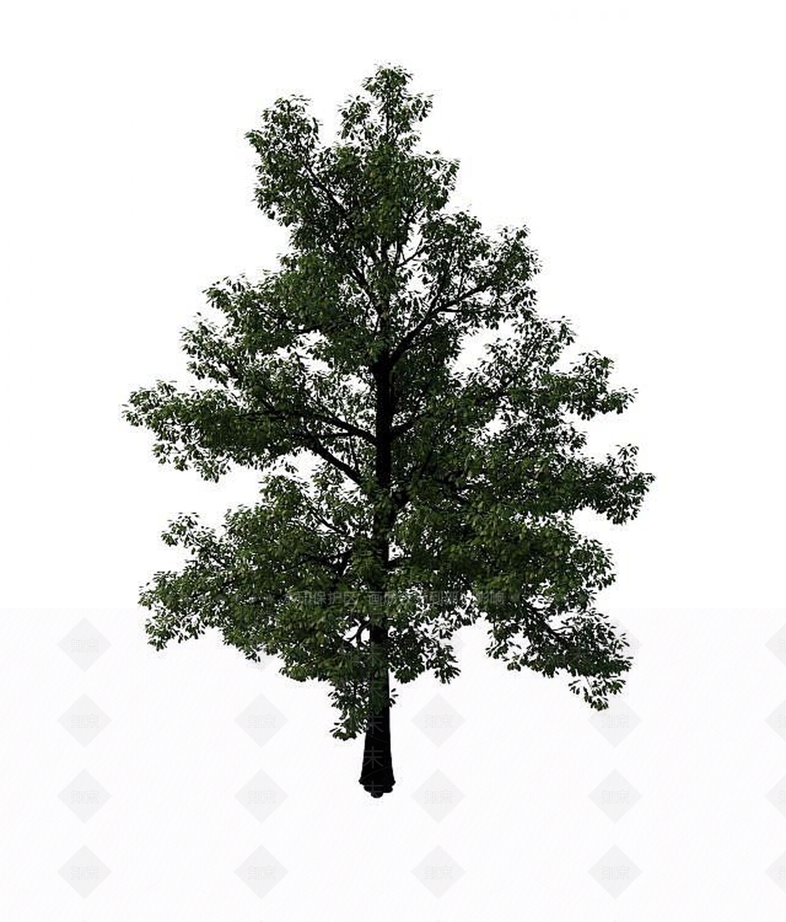 现代景观树3D模型下载【ID:1191514720】
