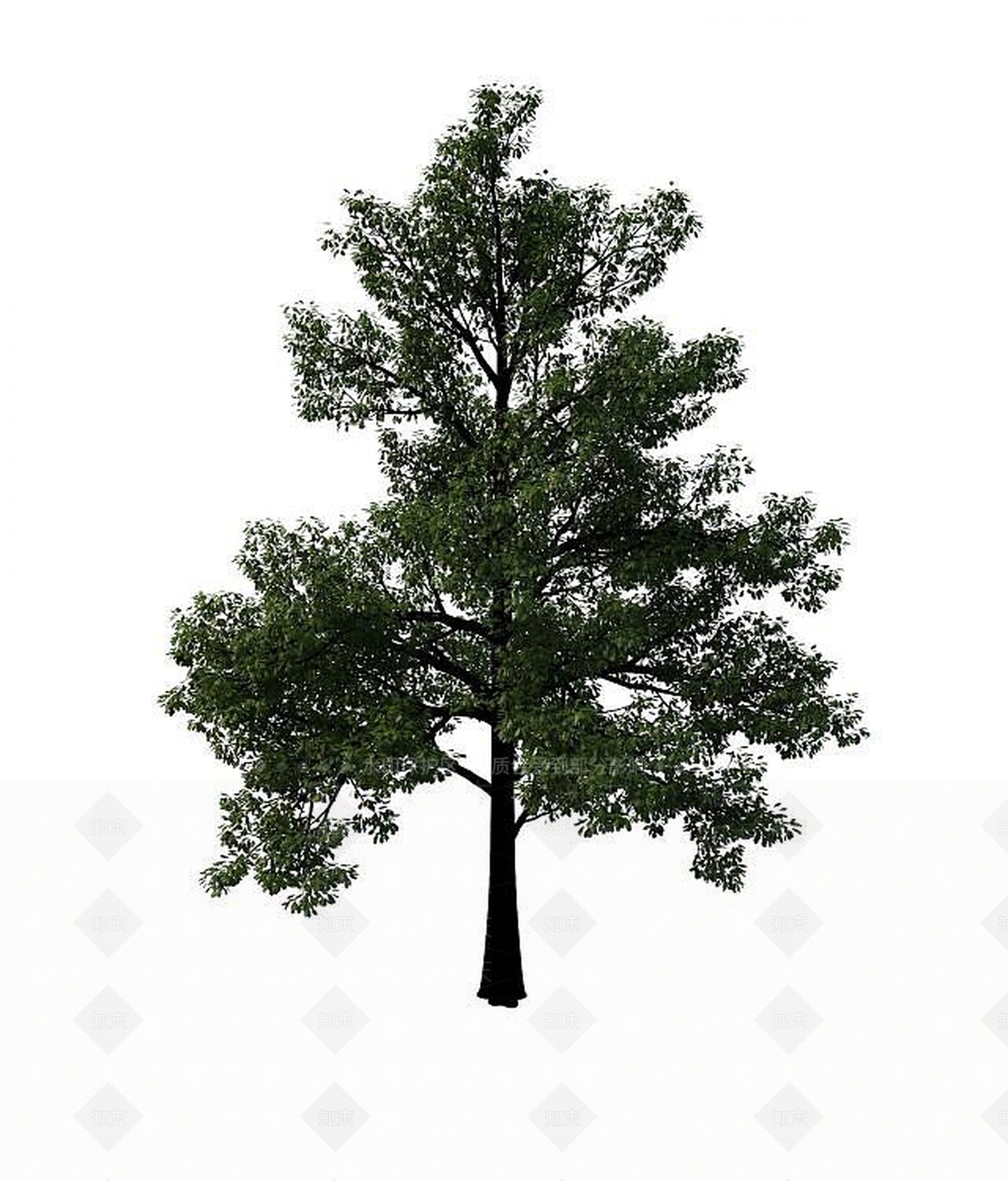 现代景观树3D模型下载【ID:1191514720】