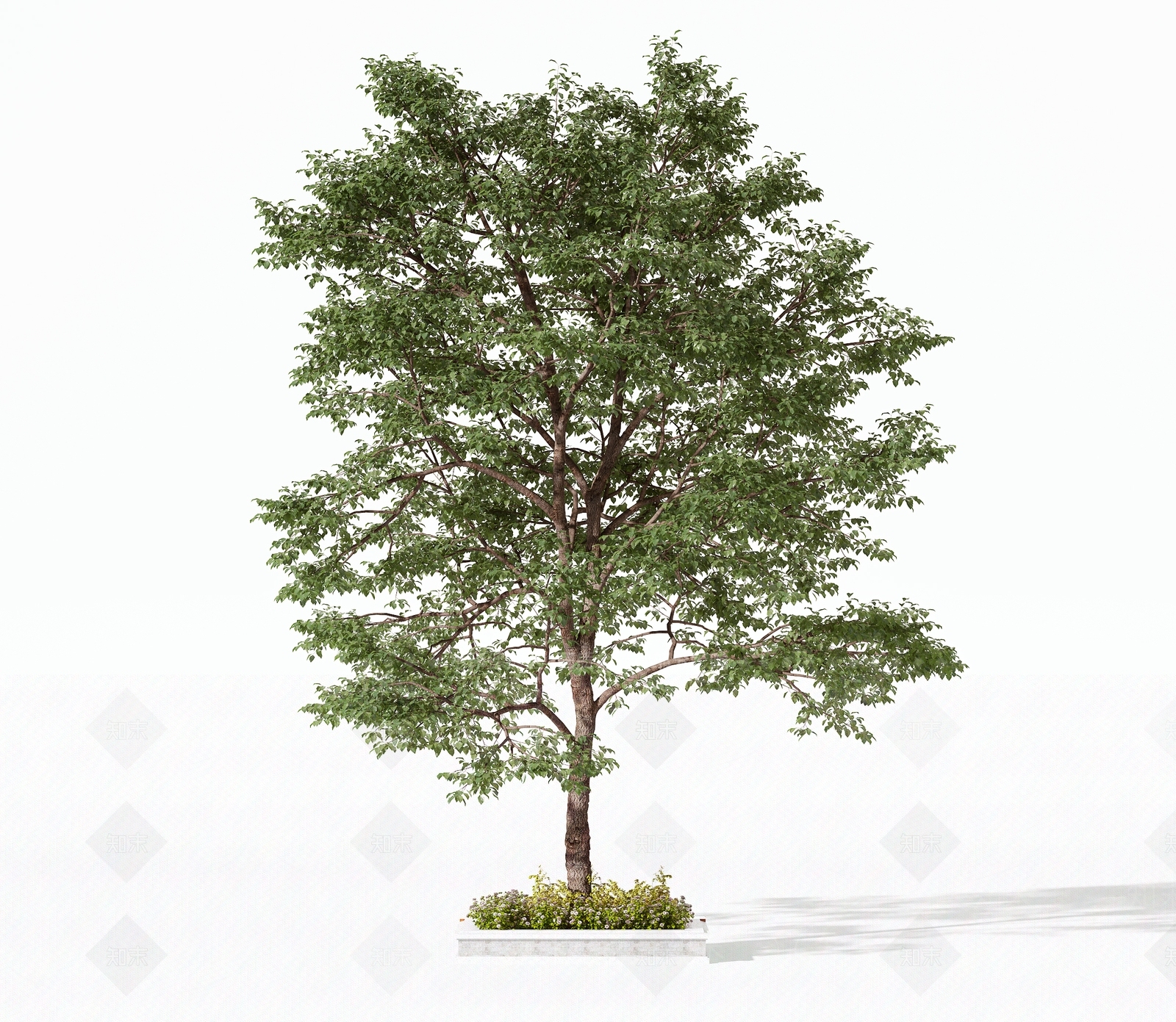 景观树3D模型下载【ID:1191545761】