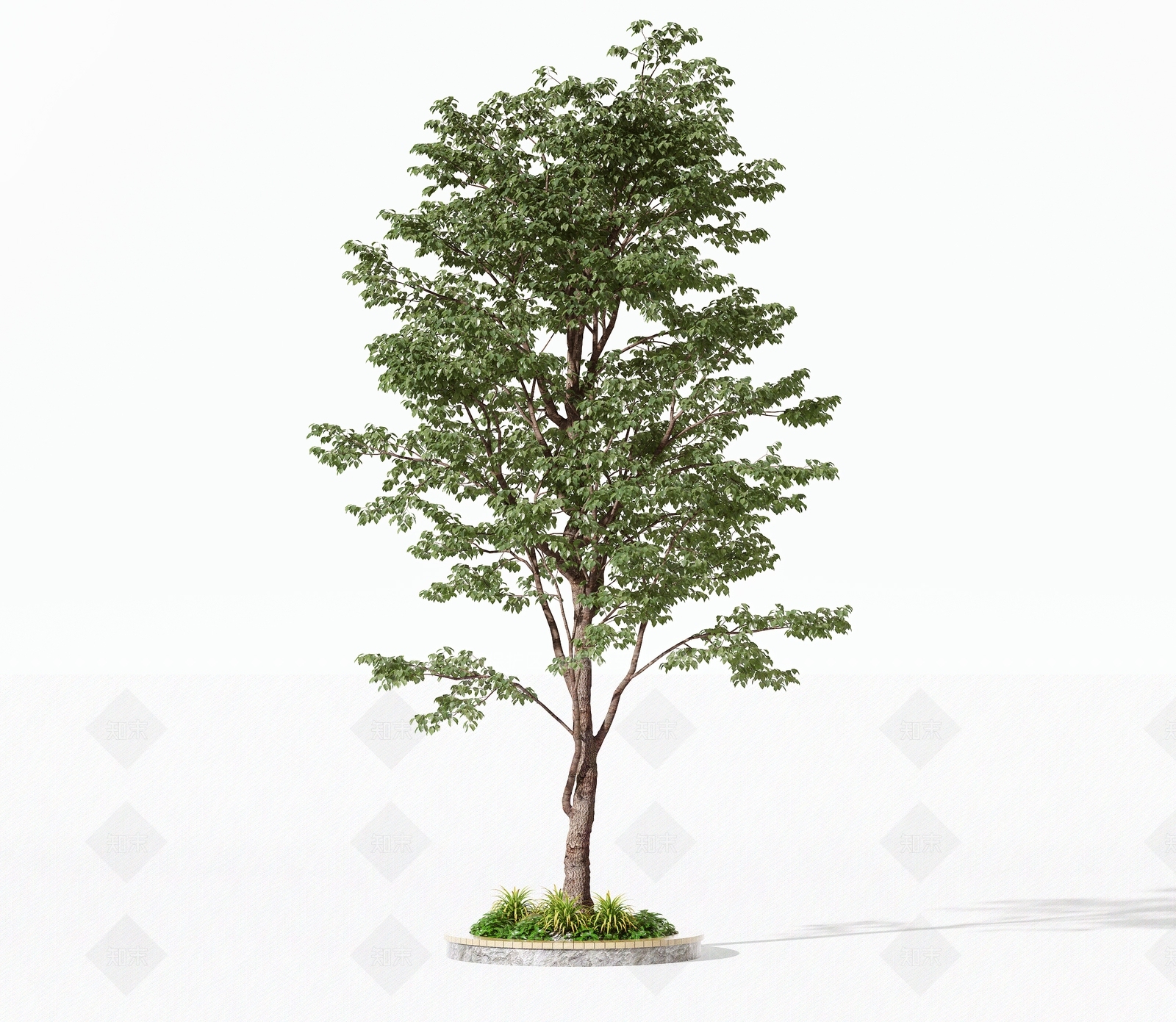 景观树3D模型下载【ID:1191546010】