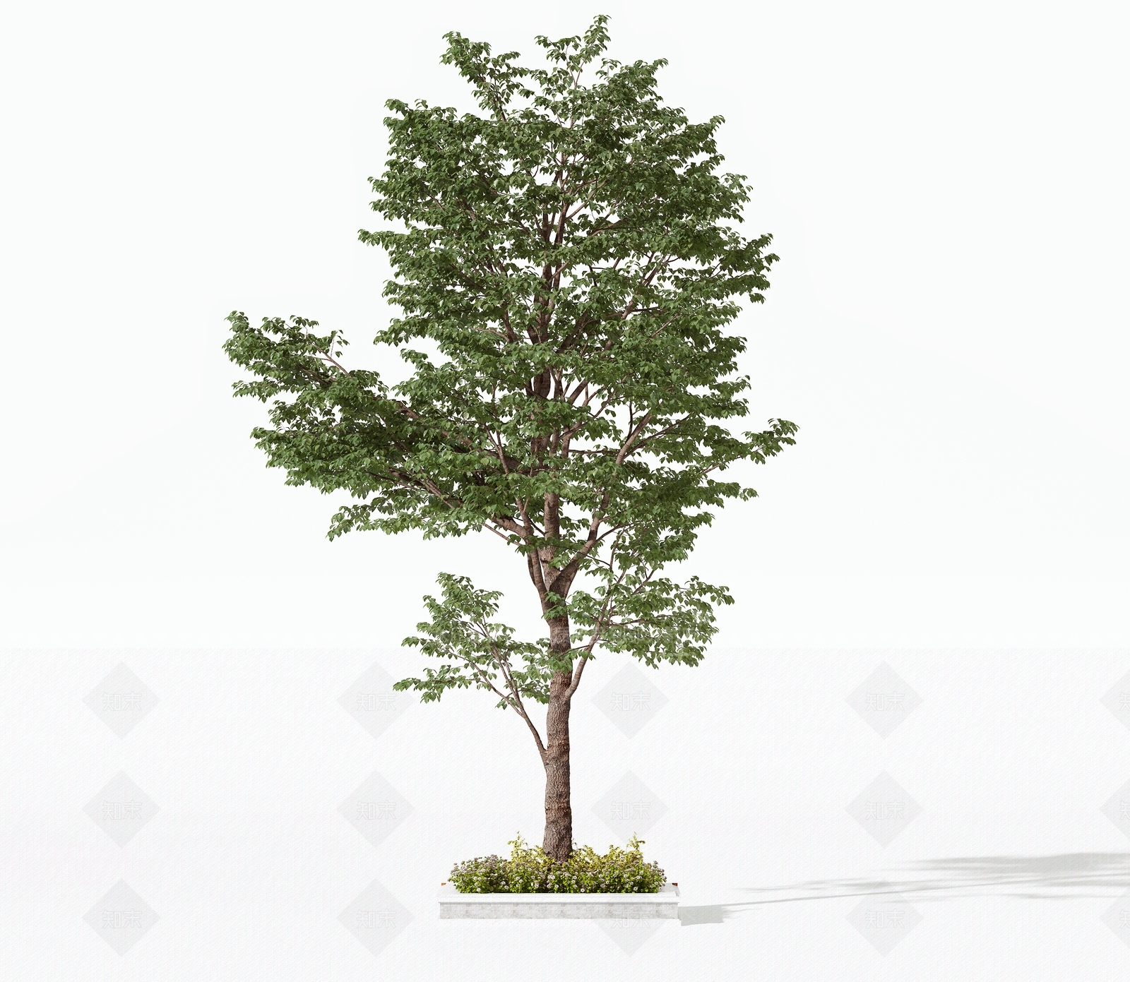 景观树3D模型下载【ID:1191546350】