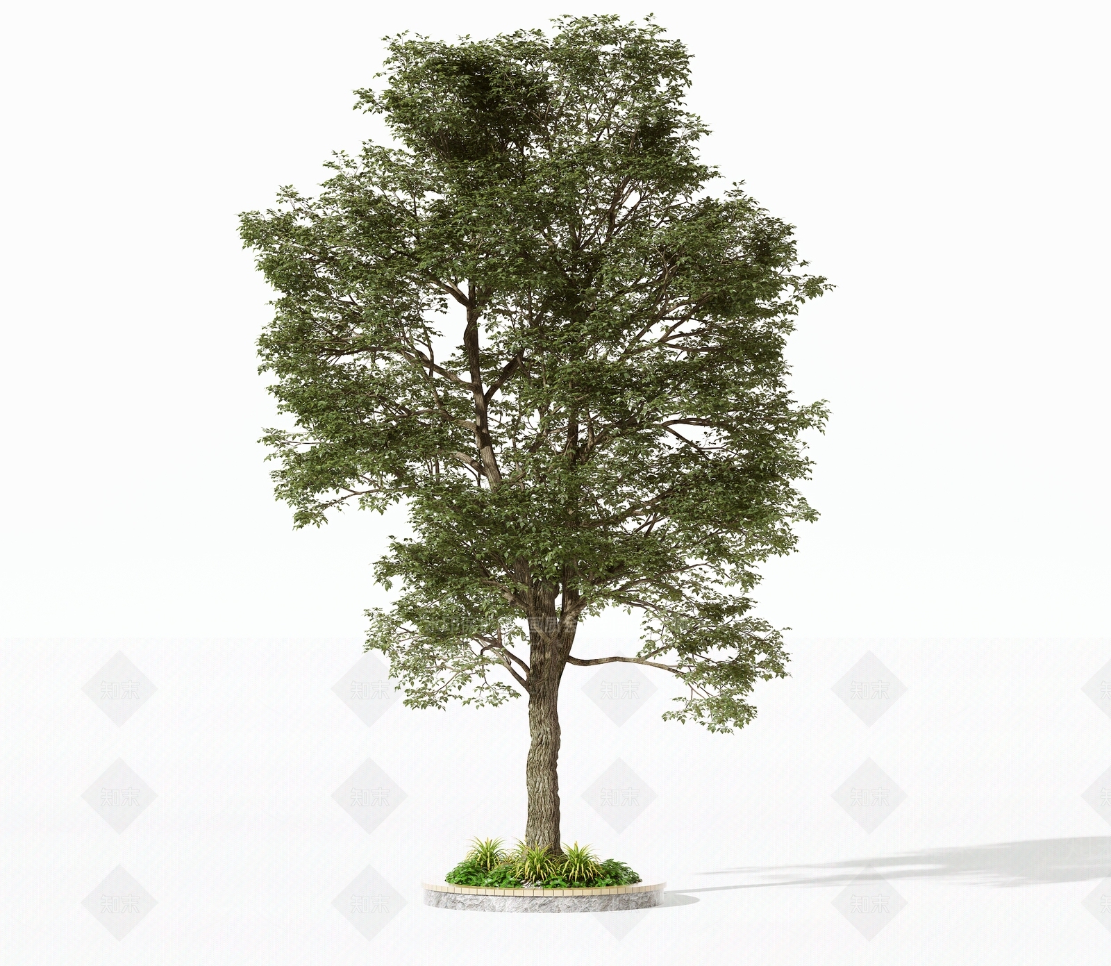 景观树3D模型下载【ID:1191547639】