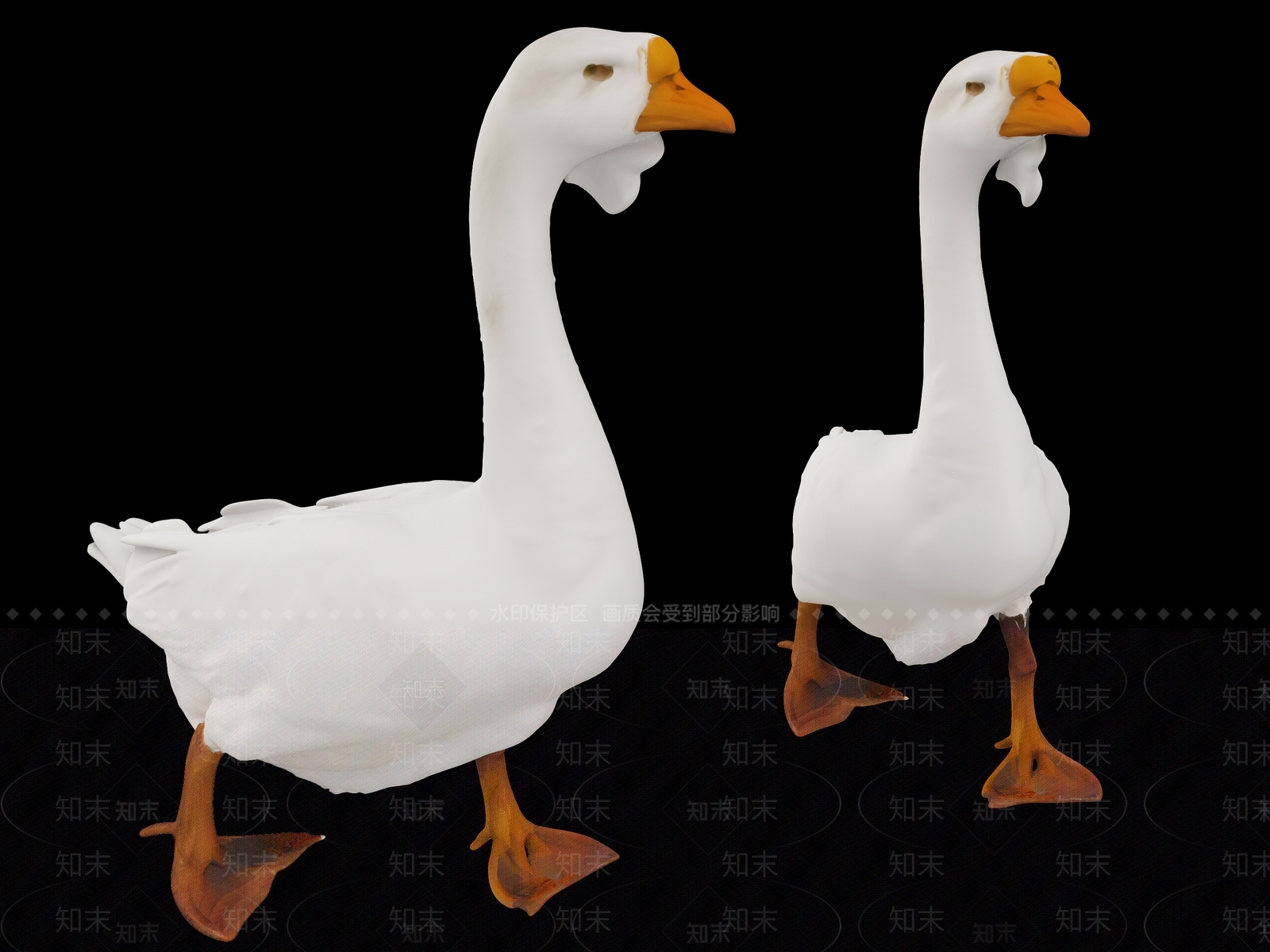 家禽类动物3D模型下载【ID:1191550759】