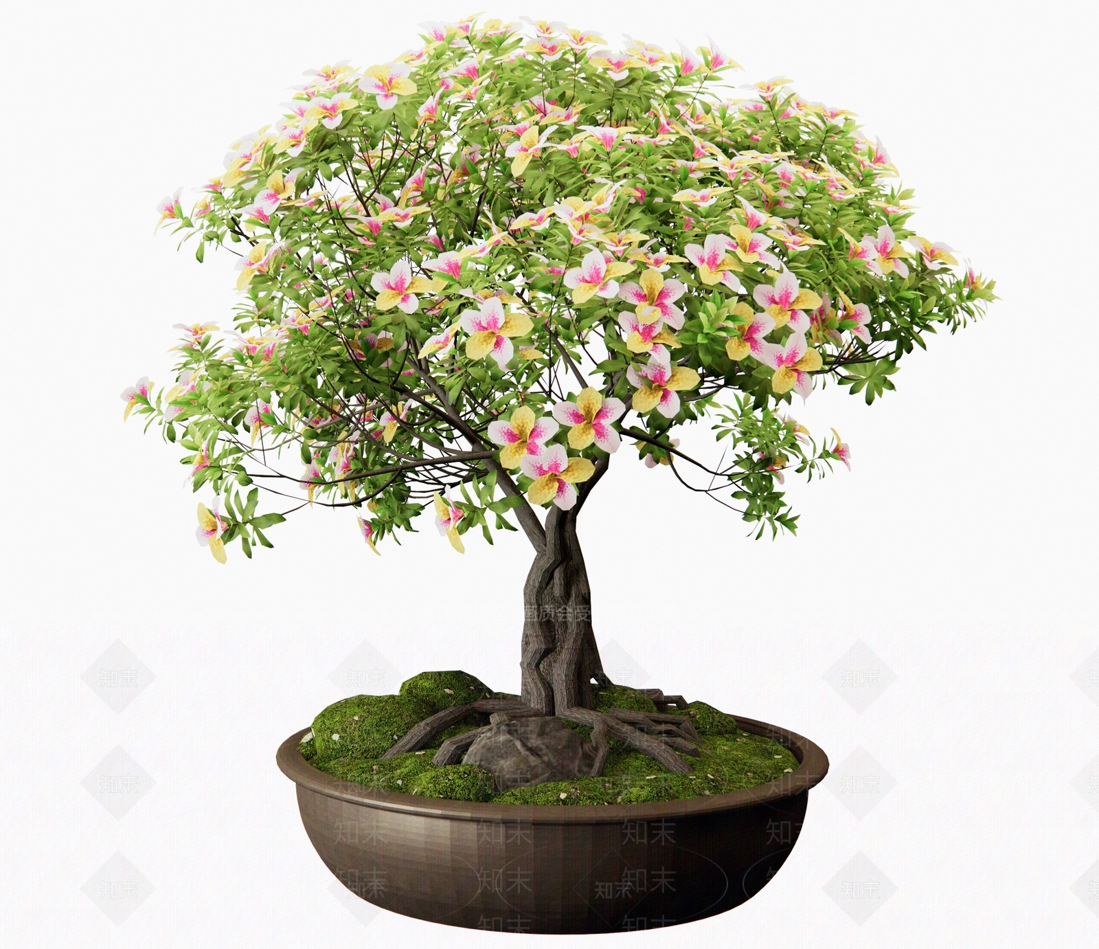盆景3D模型下载【ID:1191570670】