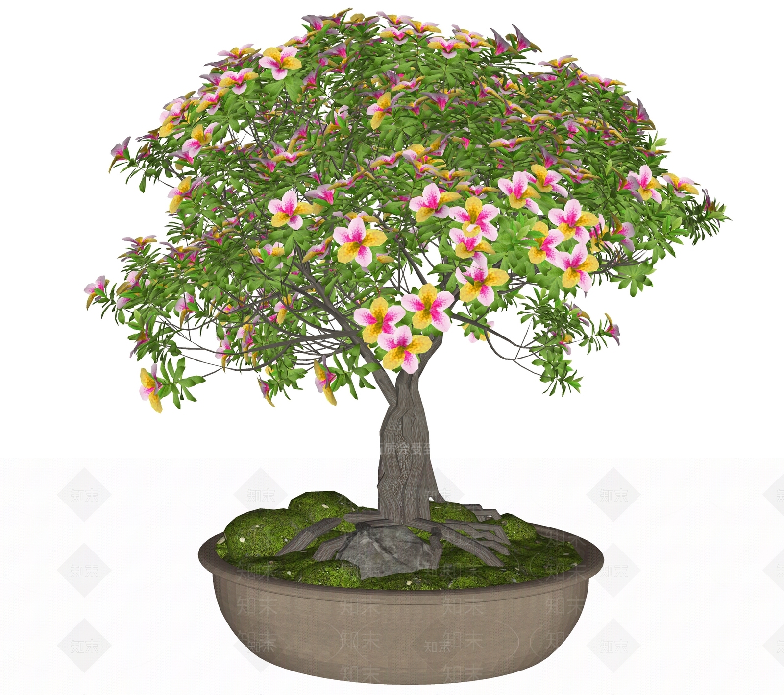 盆栽SU模型下载【ID:1191570793】