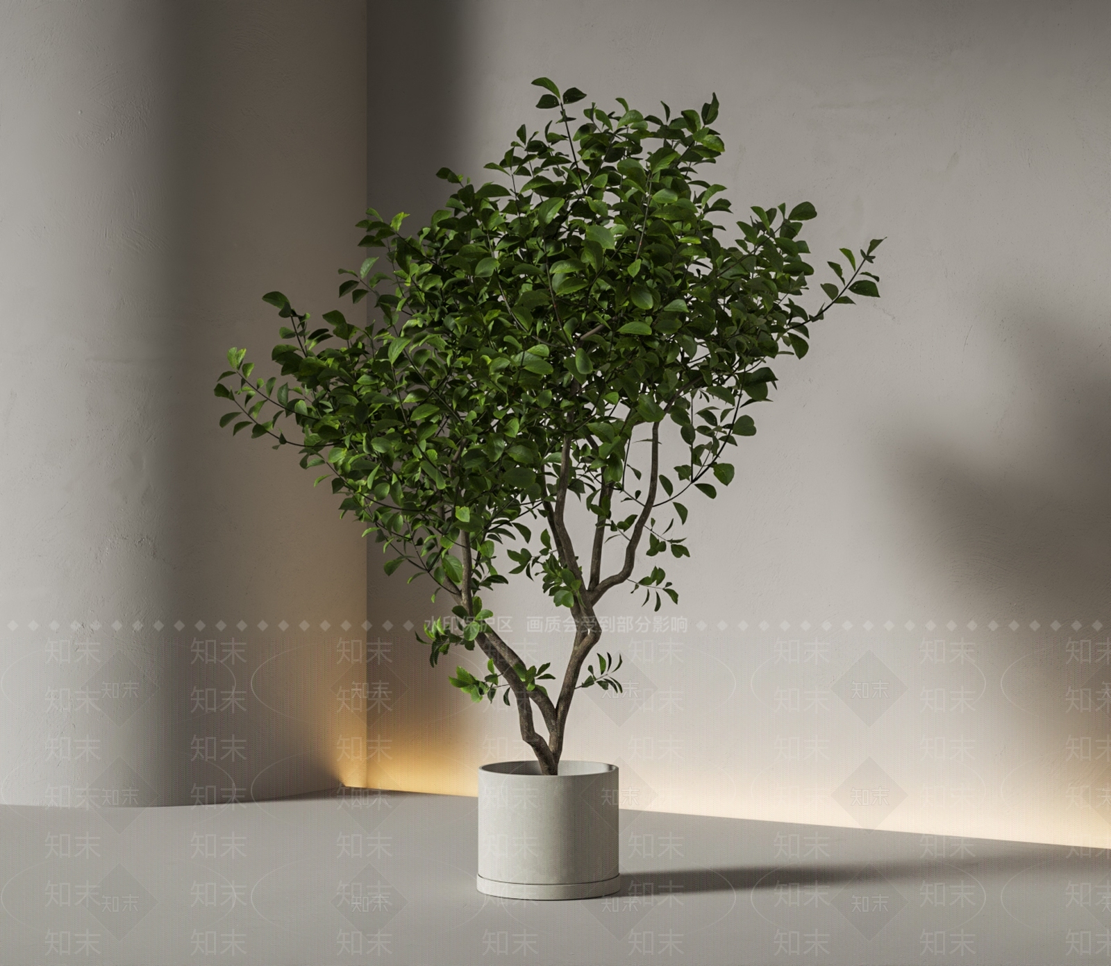 盆栽SU模型下载【ID:1191582738】