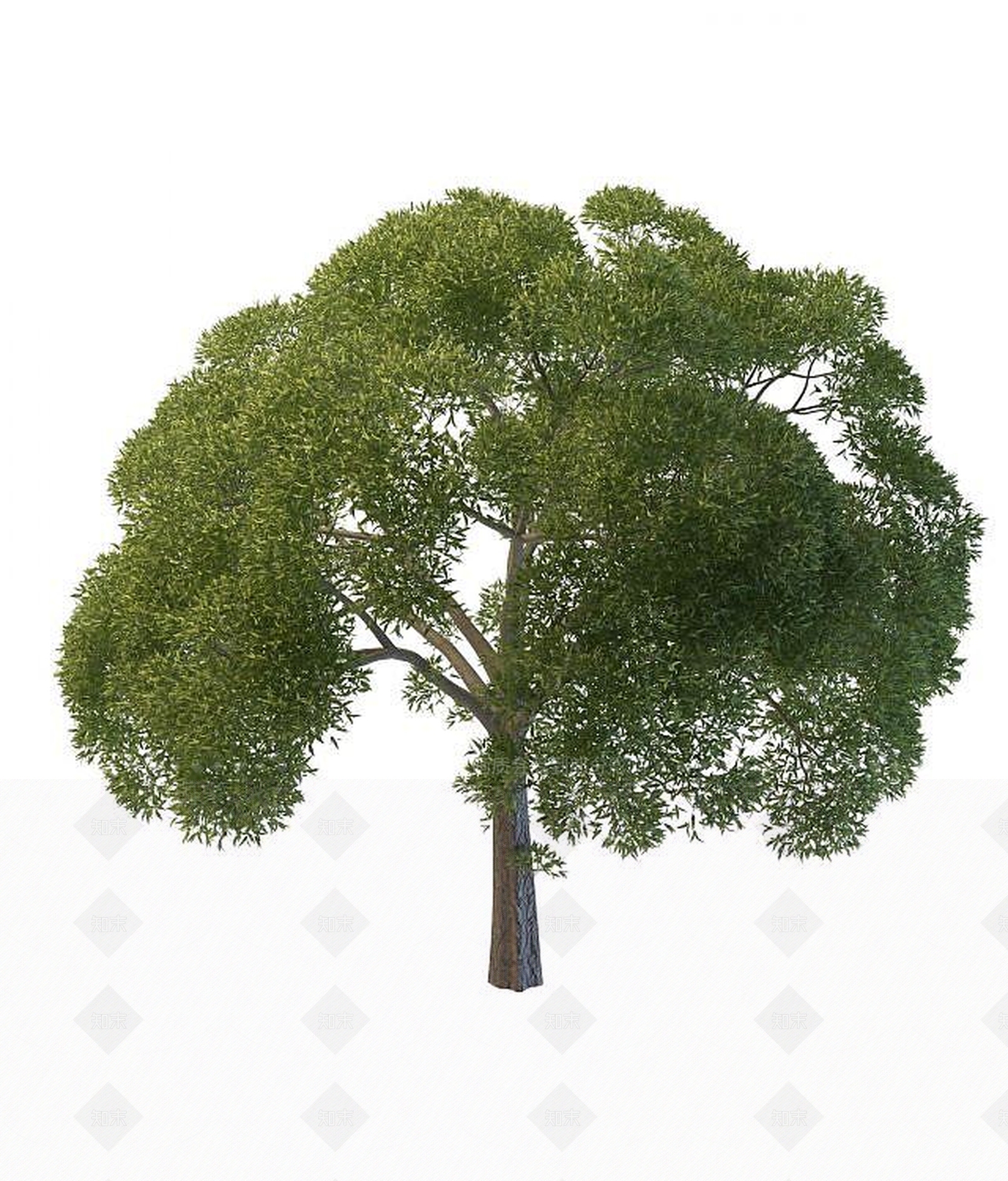 现代景观树木3D模型下载【ID:1191615648】