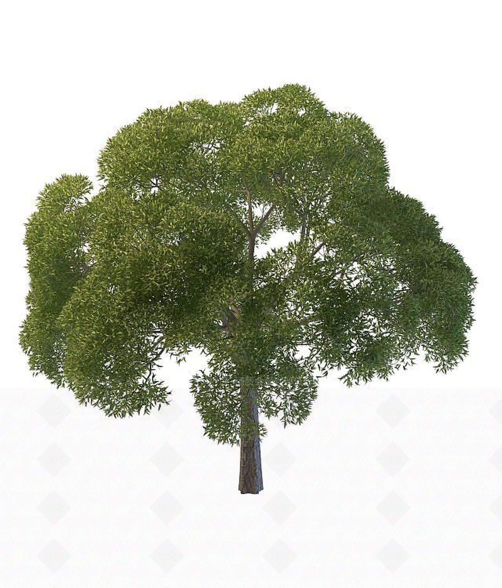 现代景观树木3D模型下载【ID:1191615648】