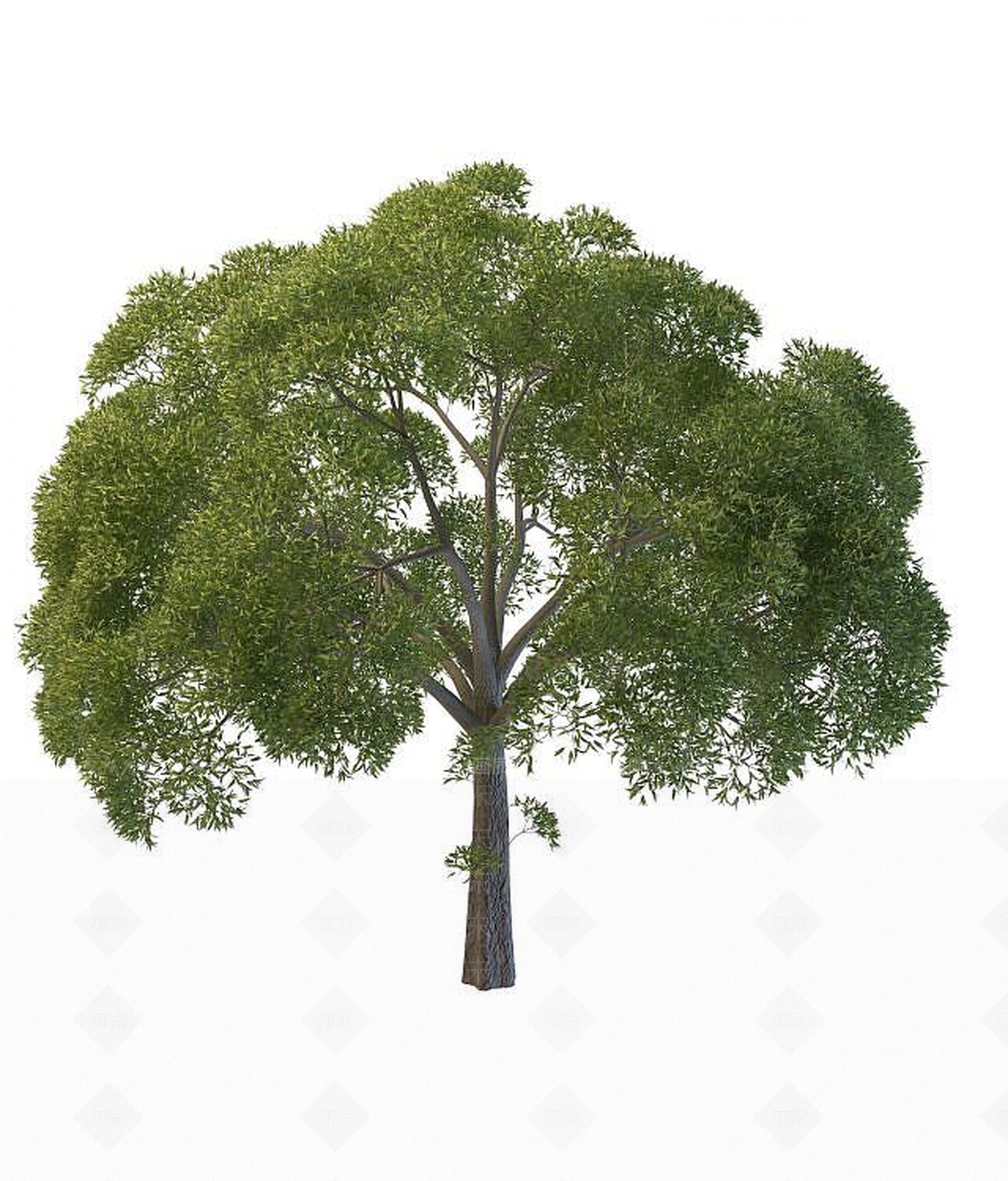 现代景观树木3D模型下载【ID:1191615648】