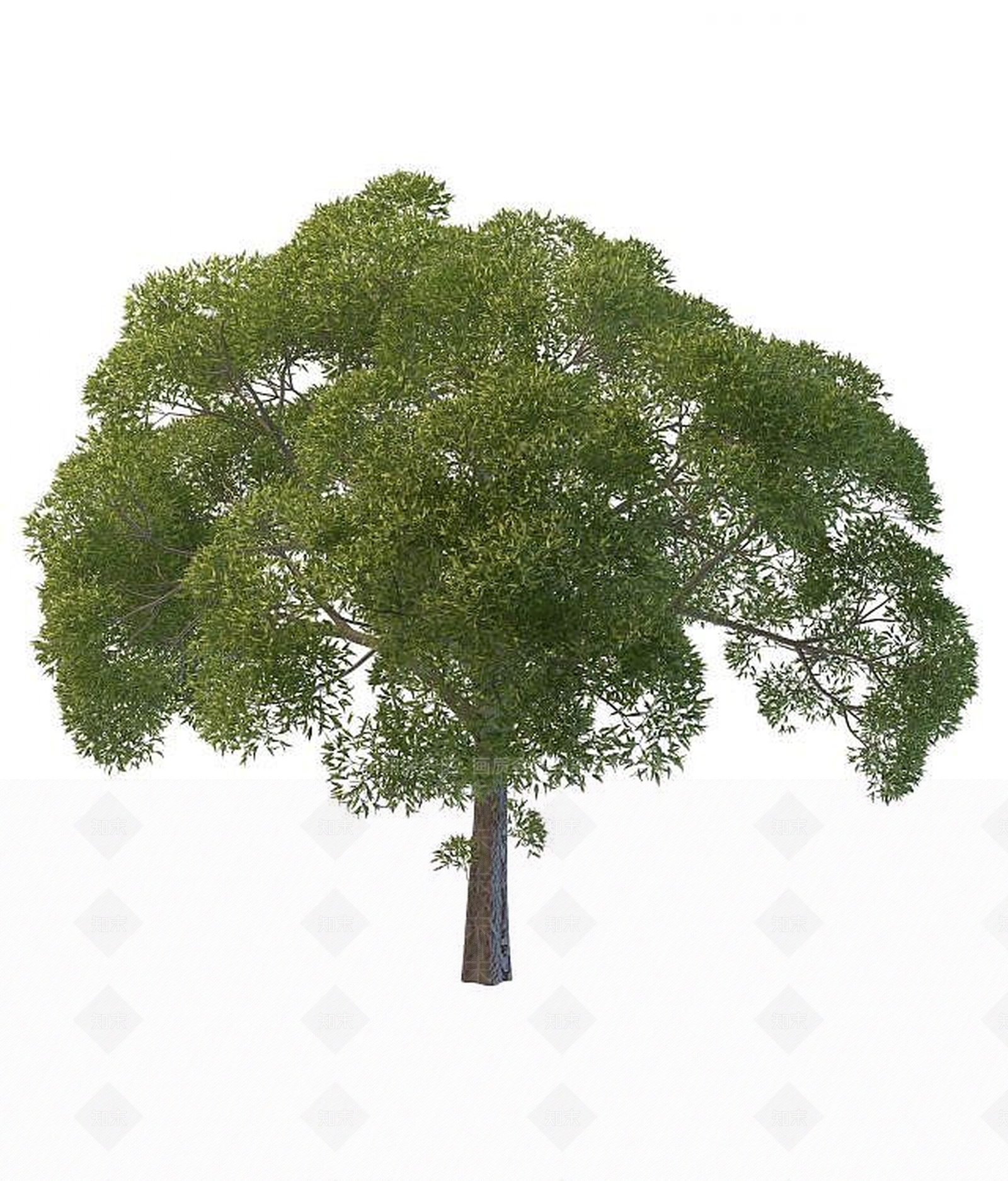 现代景观树木3D模型下载【ID:1191615648】