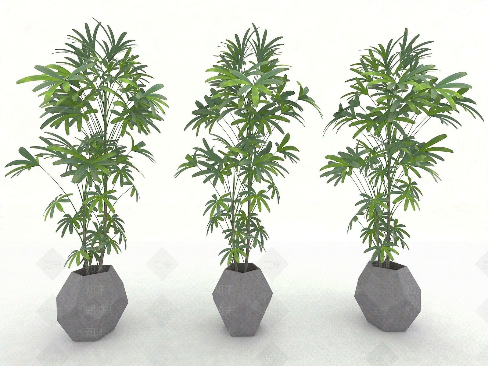 现代风格植物3D模型下载【ID:1191630799】
