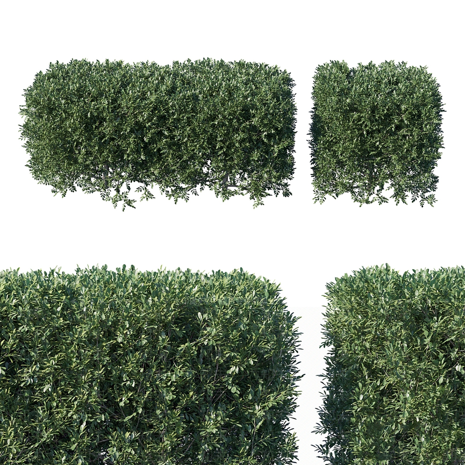 绿植墙3D模型下载【ID:1191643847】
