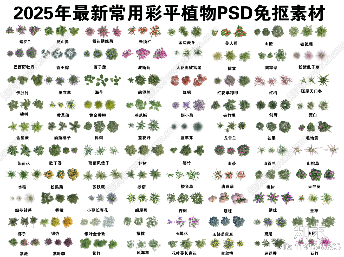 现代平面树下载【ID:1191645805】