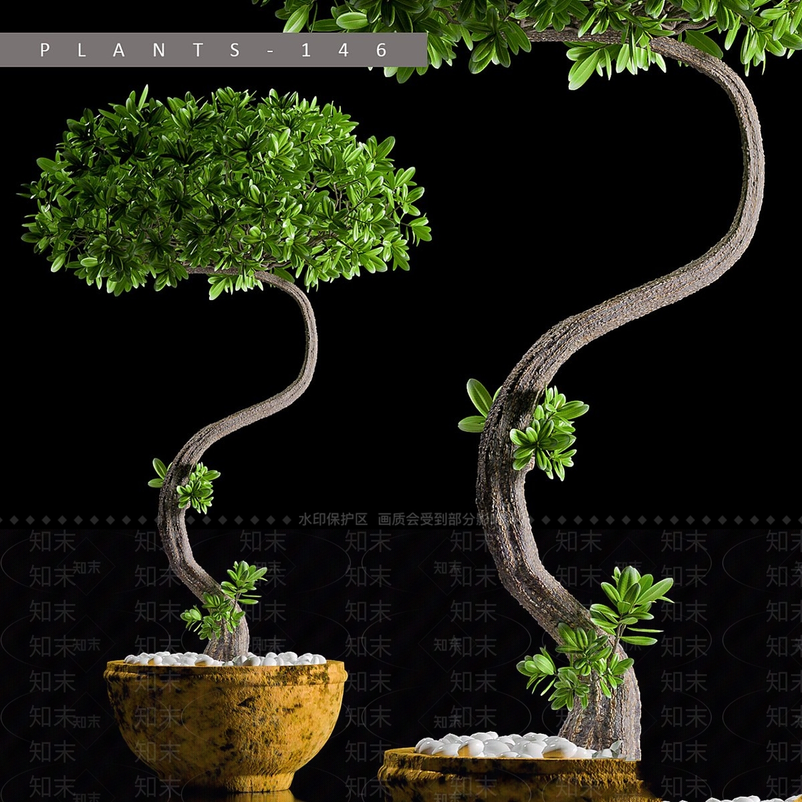 盆栽3D模型下载【ID:1191647598】