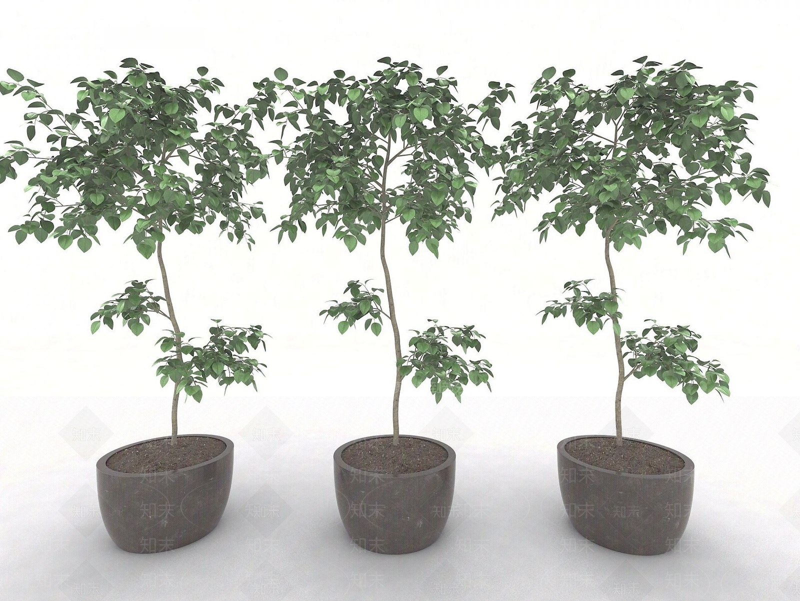 现代风格植物3D模型下载【ID:1191648963】