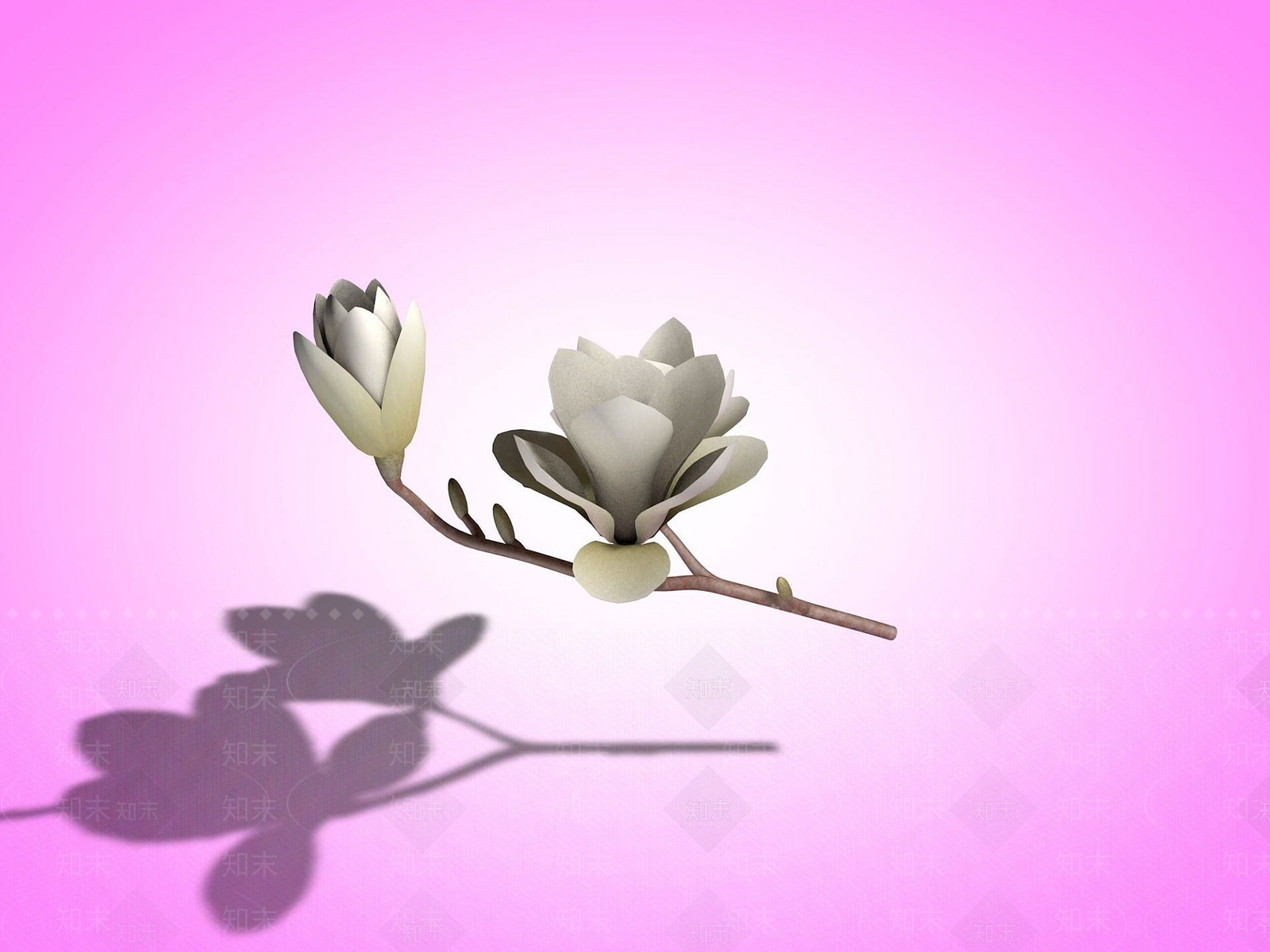 现代玉兰花3D模型下载【ID:1191653186】