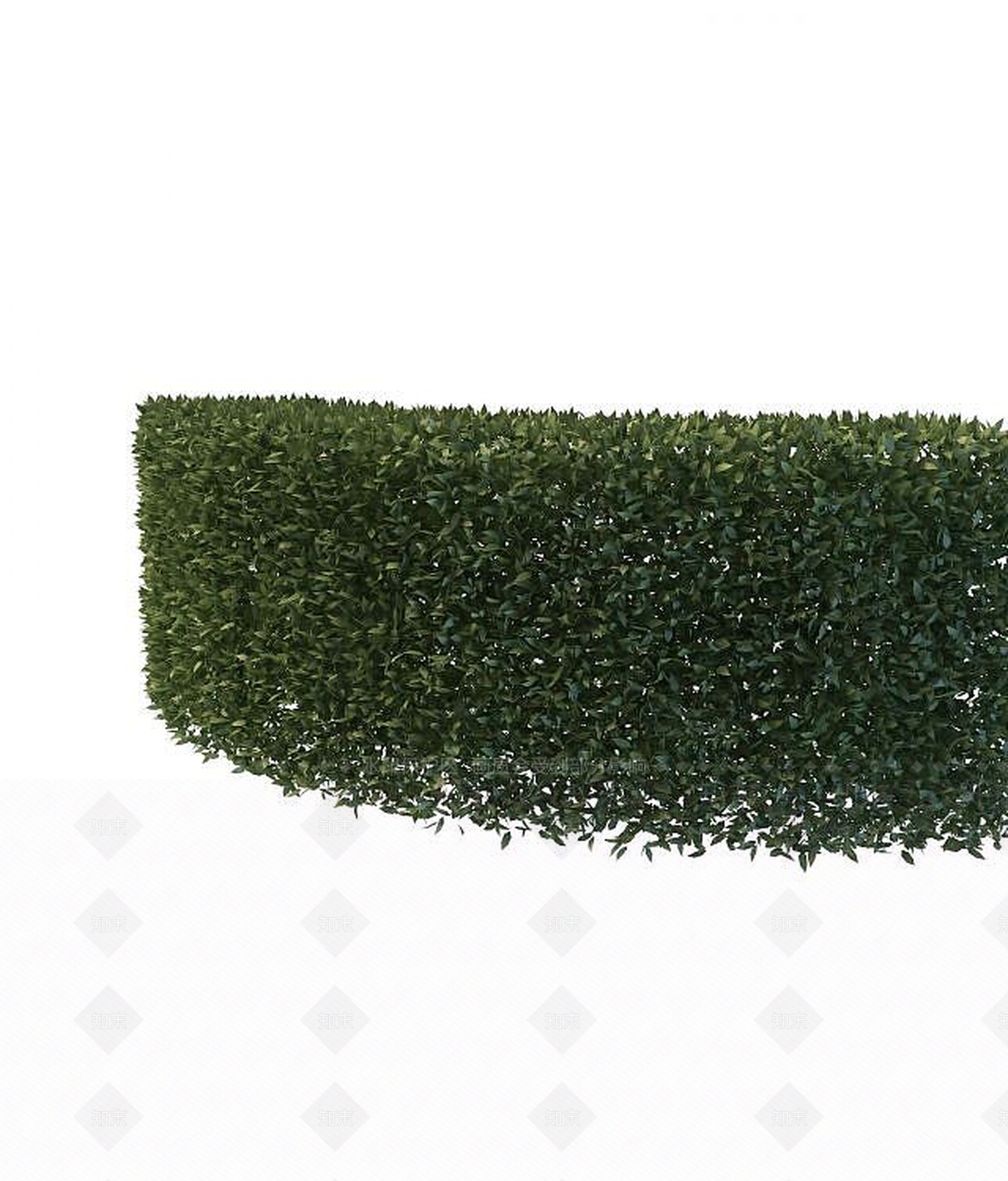 现代绿化植物3D模型下载【ID:1191653281】