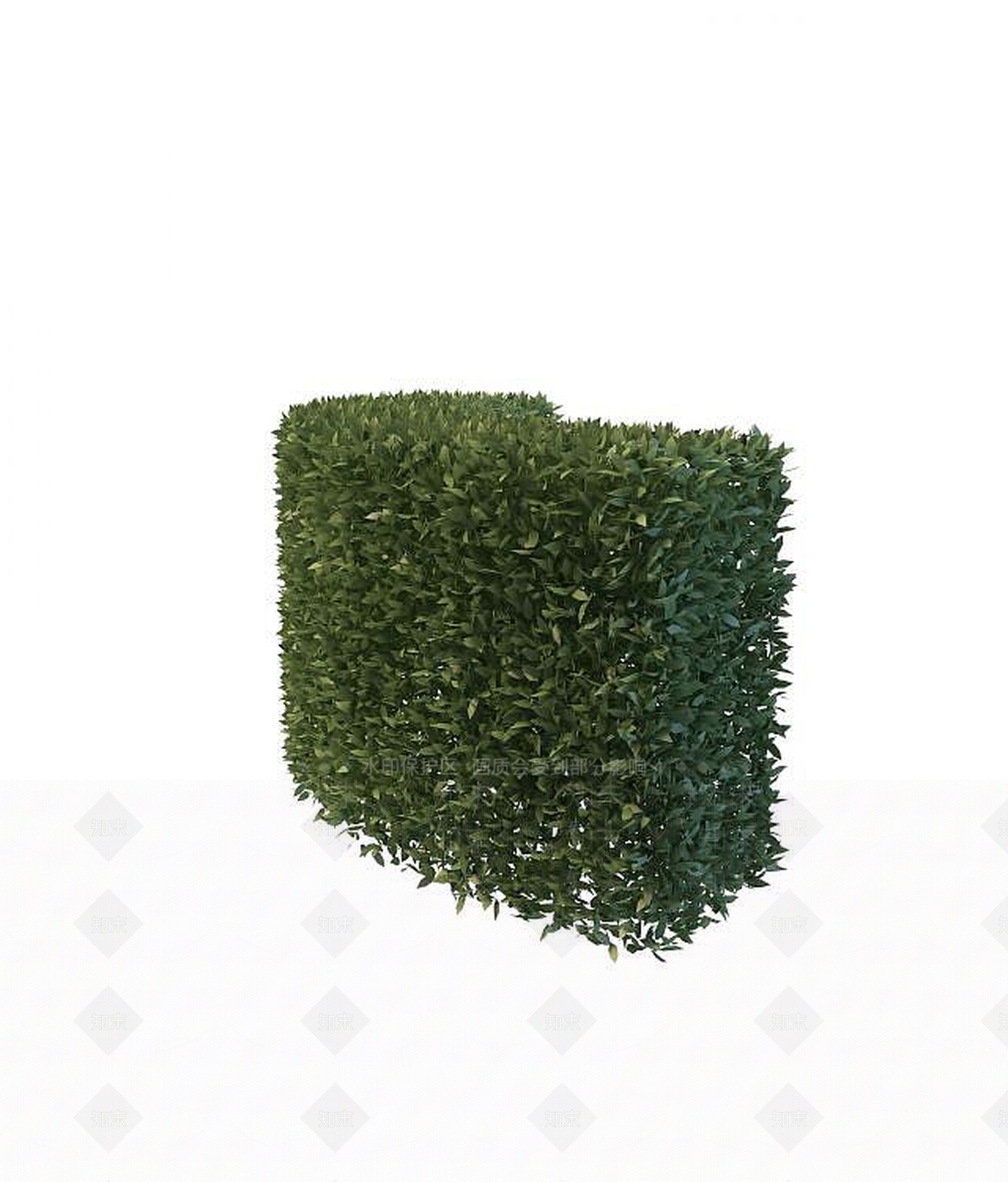 现代绿化植物3D模型下载【ID:1191653281】