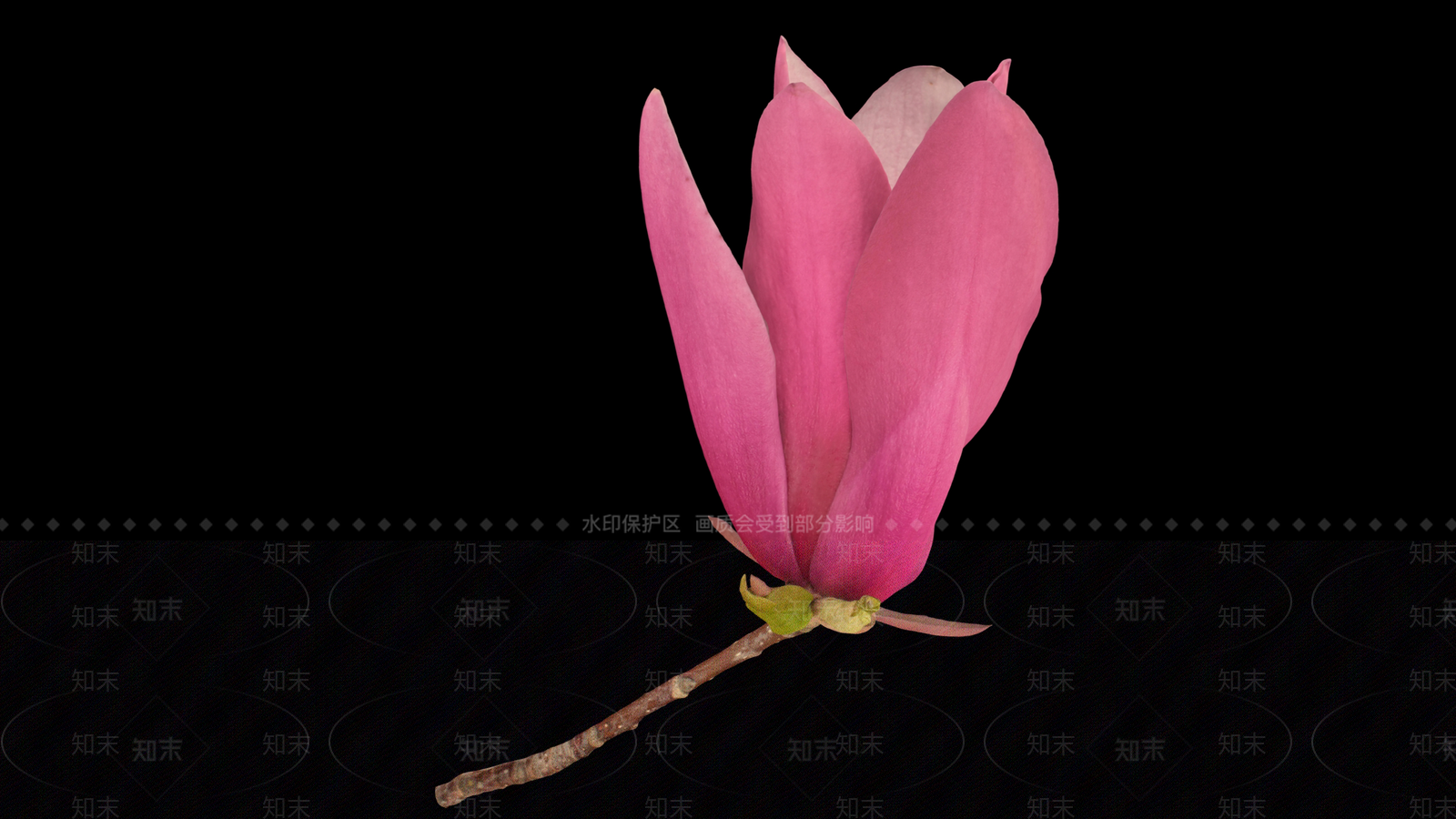 花3D模型下载【ID:1191680806】