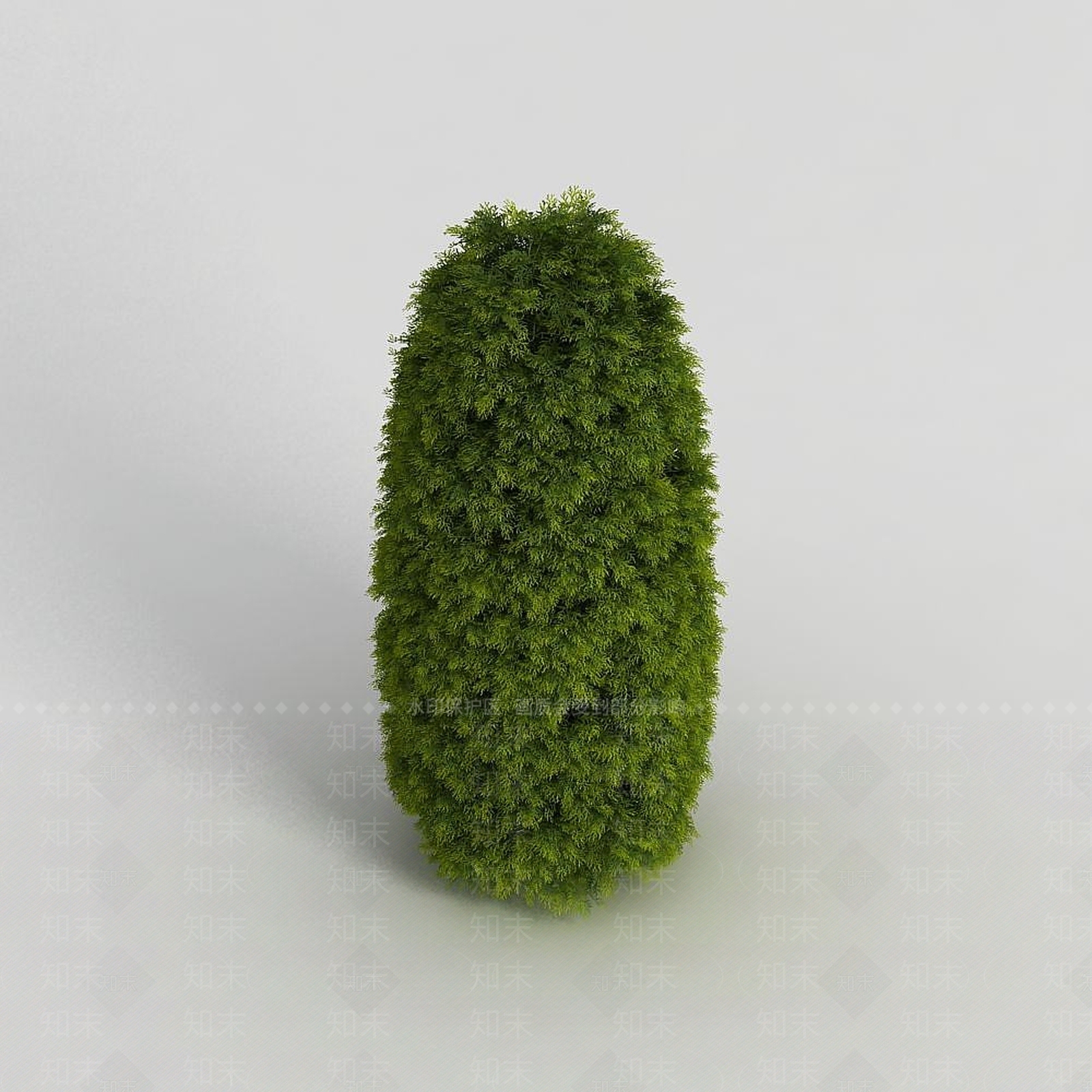 现代灌木3D模型下载【ID:1191682851】