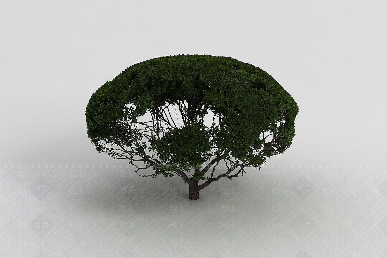 现代户外园林灌木丛3D模型下载【ID:1191683257】