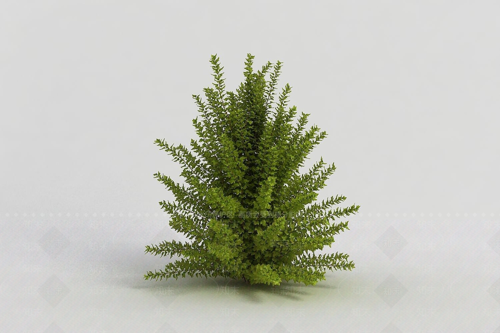 现代户外园林灌木丛3D模型下载【ID:1191683564】