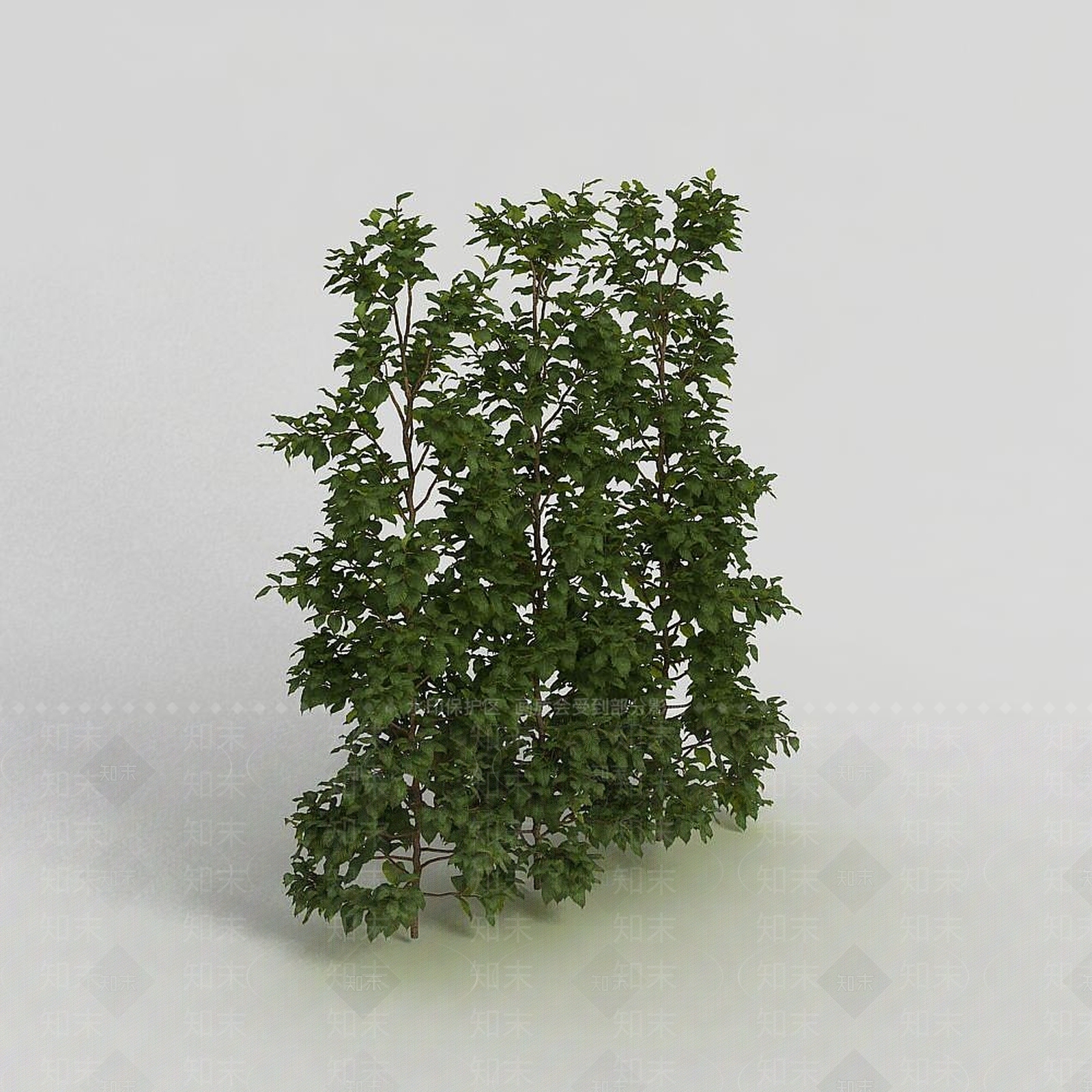 现代户外园林灌木丛3D模型下载【ID:1191683709】