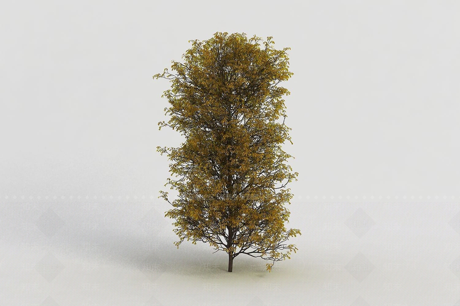 现代园林装饰灌木3D模型下载【ID:1191684369】