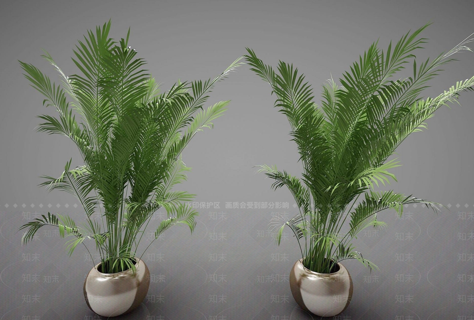 现代植物3D模型下载【ID:1191686234】