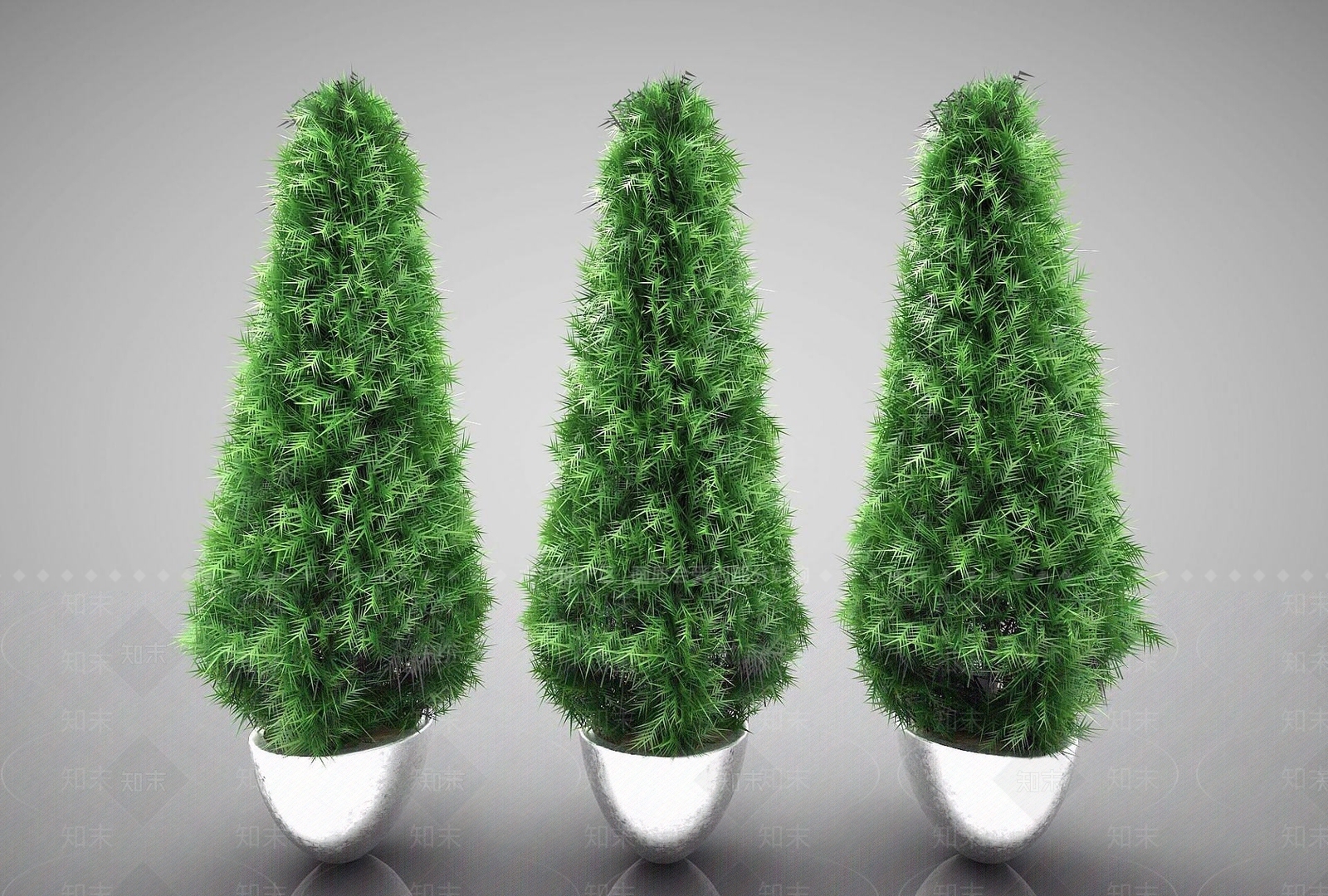 现代植物3D模型下载【ID:1191687807】