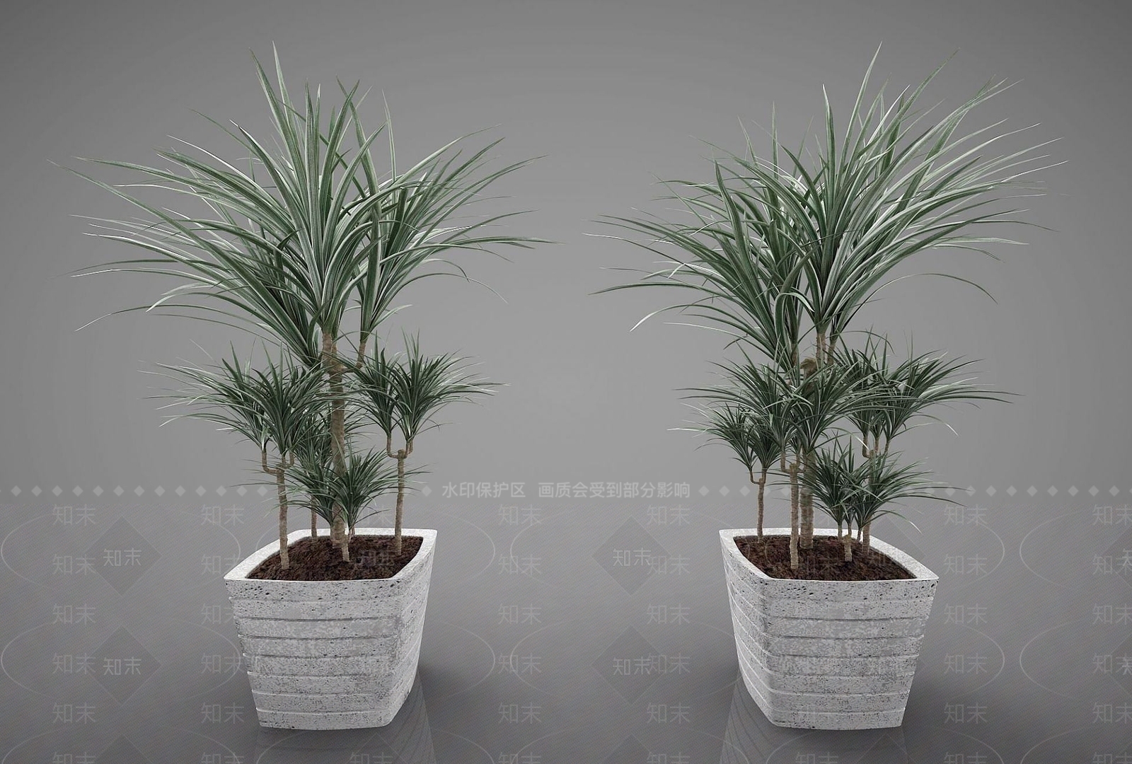 现代装饰植物3D模型下载【ID:1191690563】