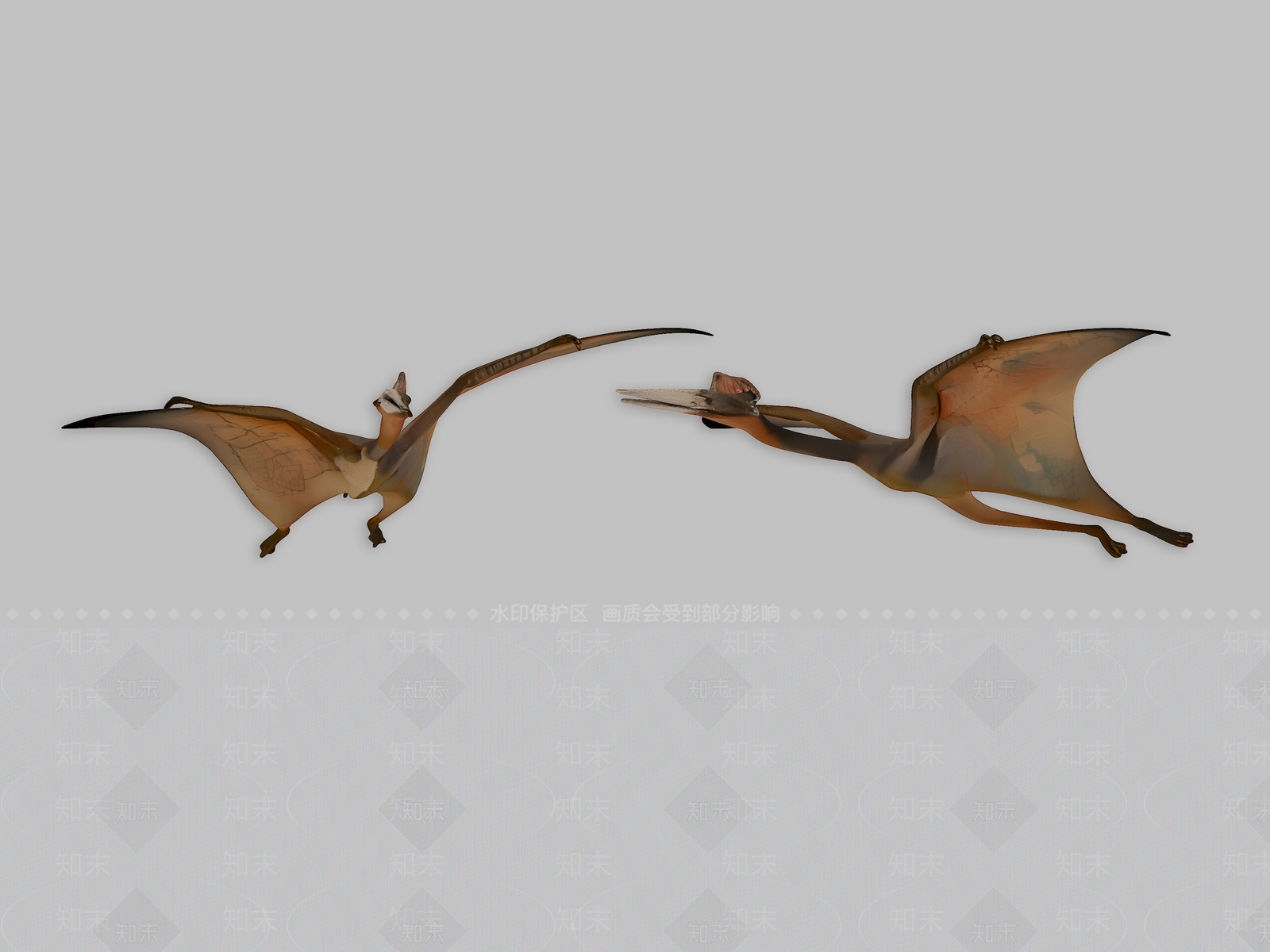 爬行类动物3D模型下载【ID:1191721751】