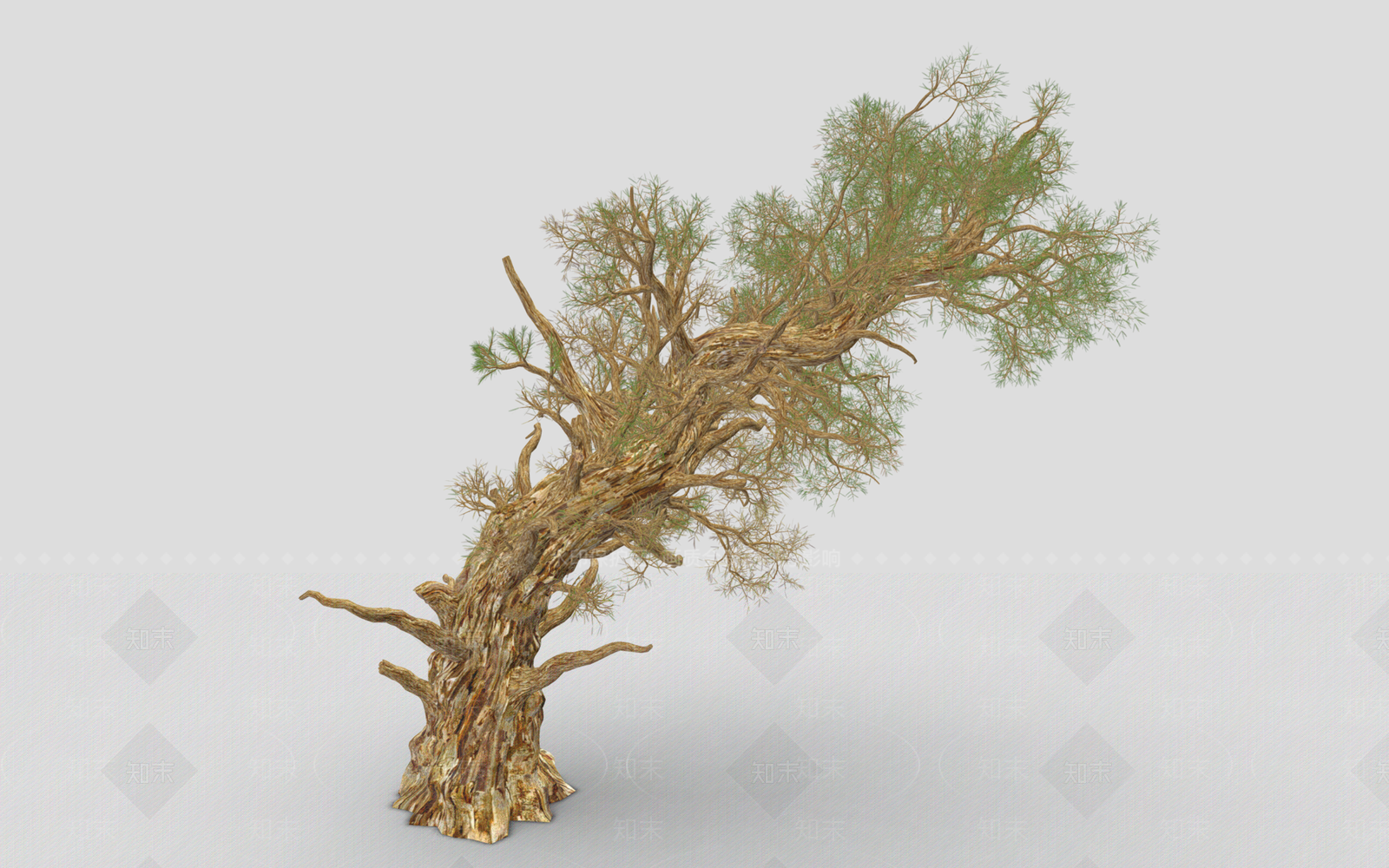 乔木3D模型下载【ID:1191740216】