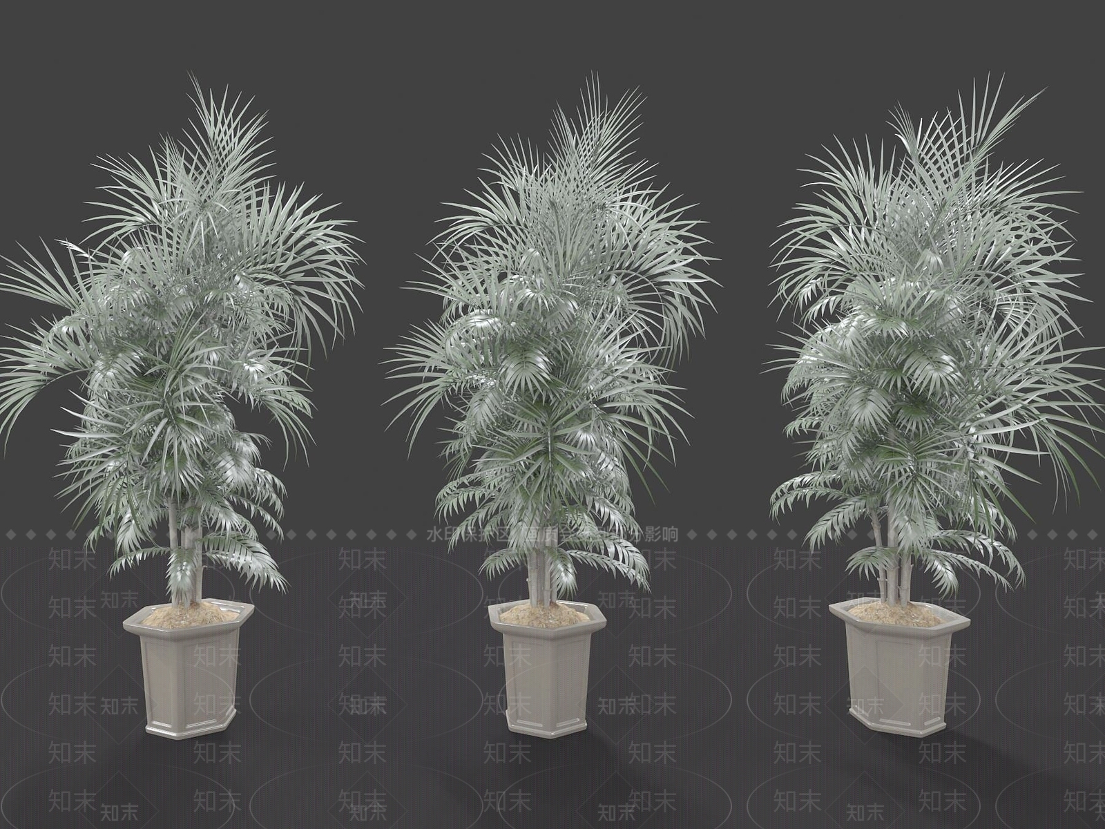 现代装饰植物3D模型下载【ID:1191764392】