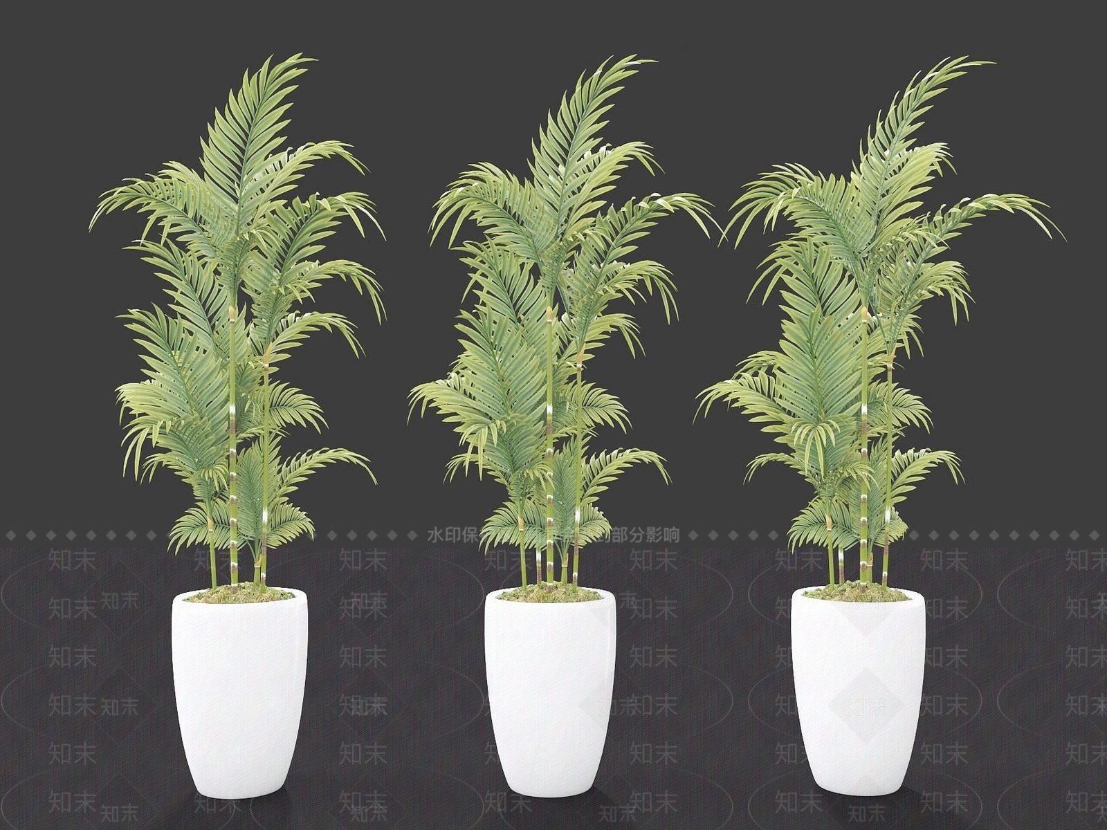 现代装饰植物3D模型下载【ID:1191788174】