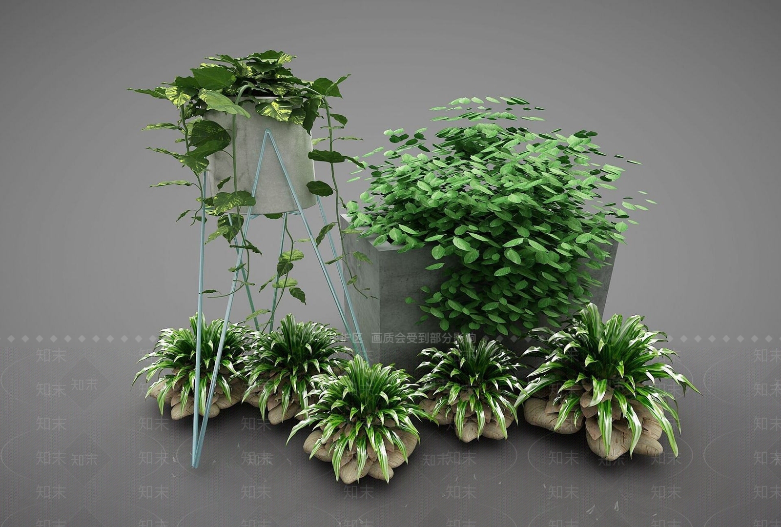 现代装饰植物3D模型下载【ID:1191810591】