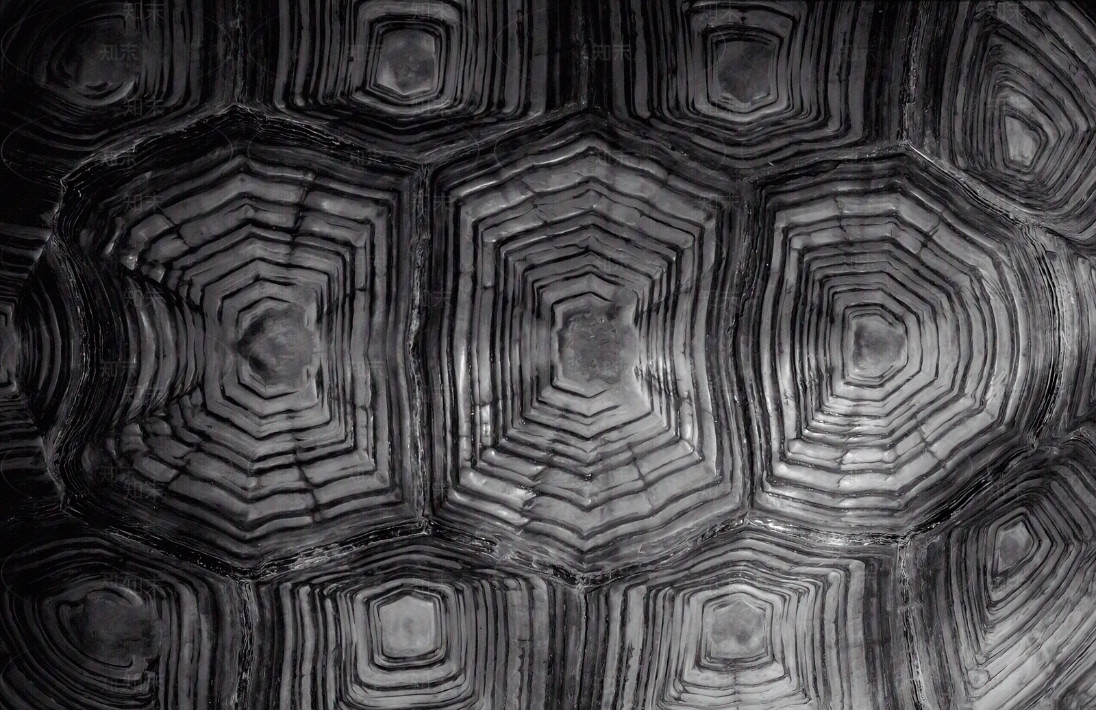 现代其他构件贴图下载【ID:1191831275】