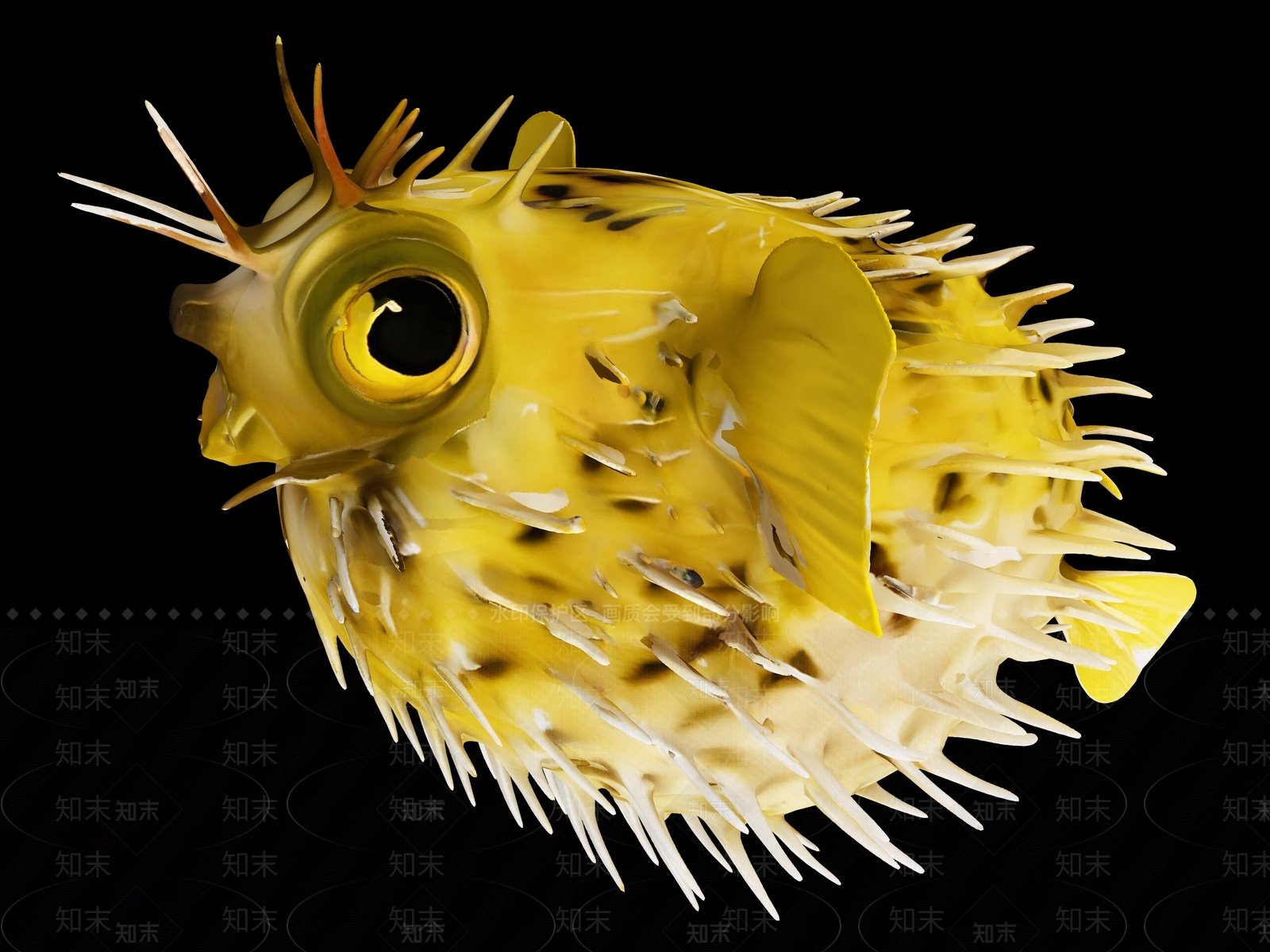 水生类动物3D模型下载【ID:1191851180】
