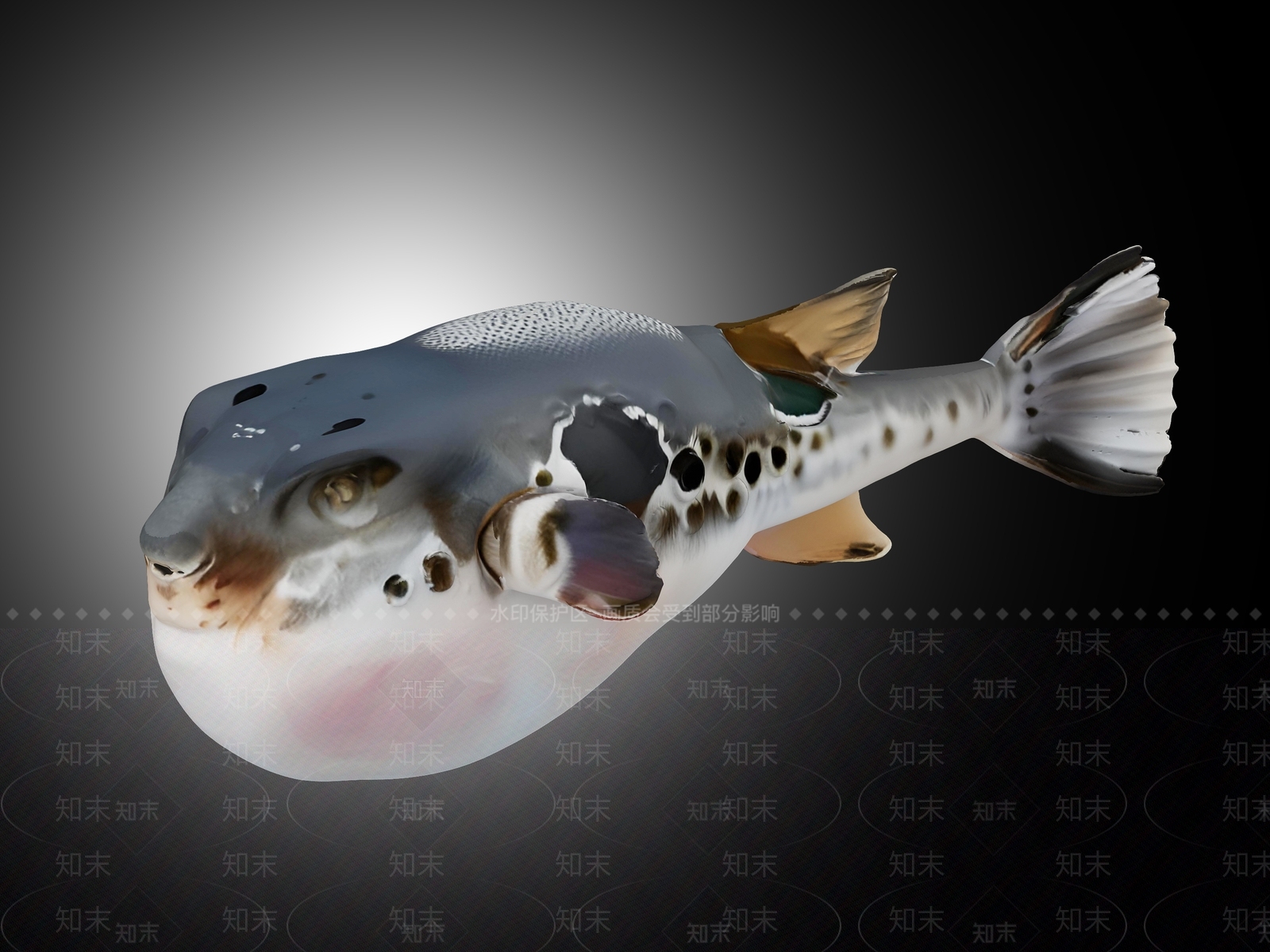 水生类动物3D模型下载【ID:1191851145】