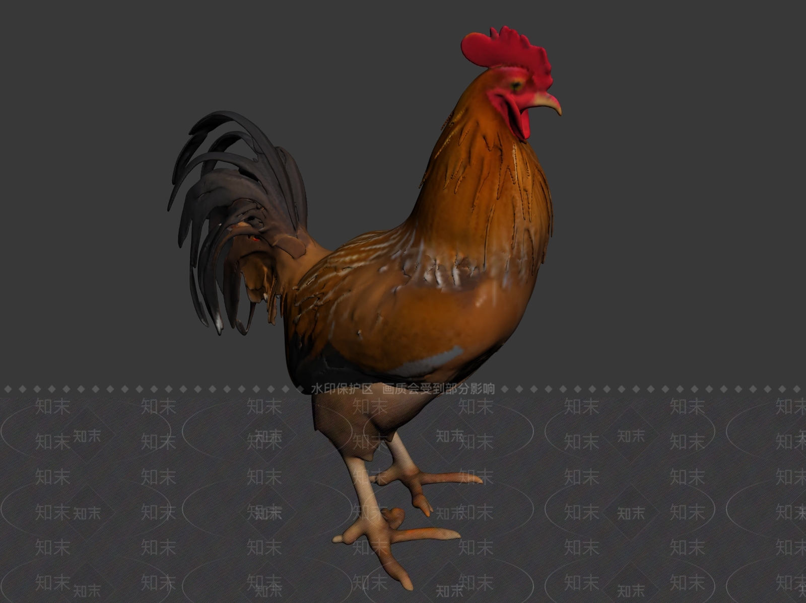 家禽类动物3D模型下载【ID:1191851428】