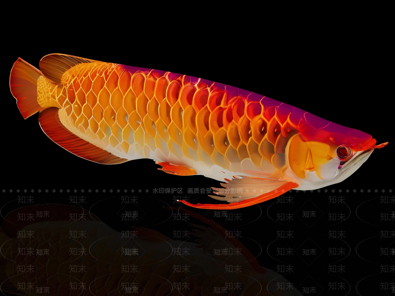 水生类动物3D模型下载【ID:1191852898】