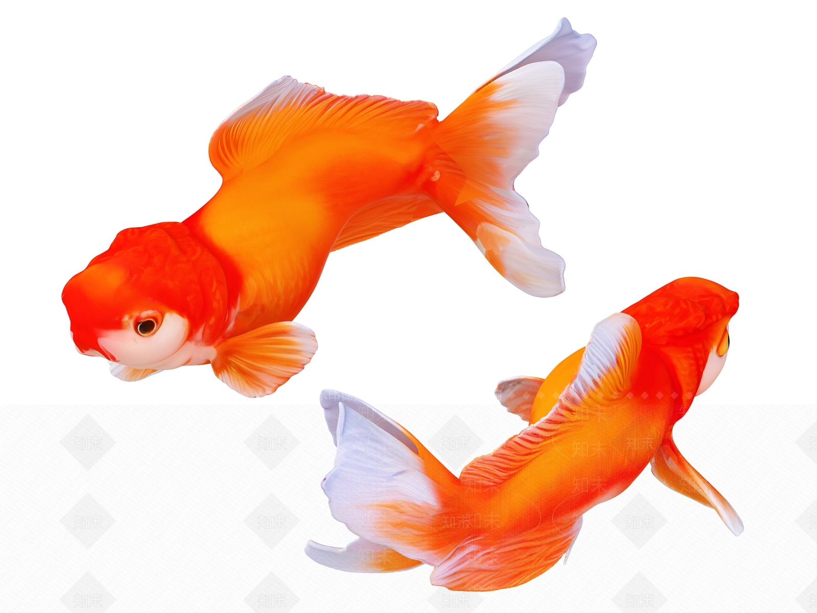 水生类动物3D模型下载【ID:1191853064】
