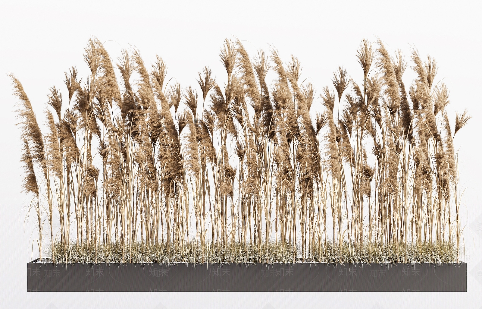 植物堆3D模型下载【ID:1191876994】