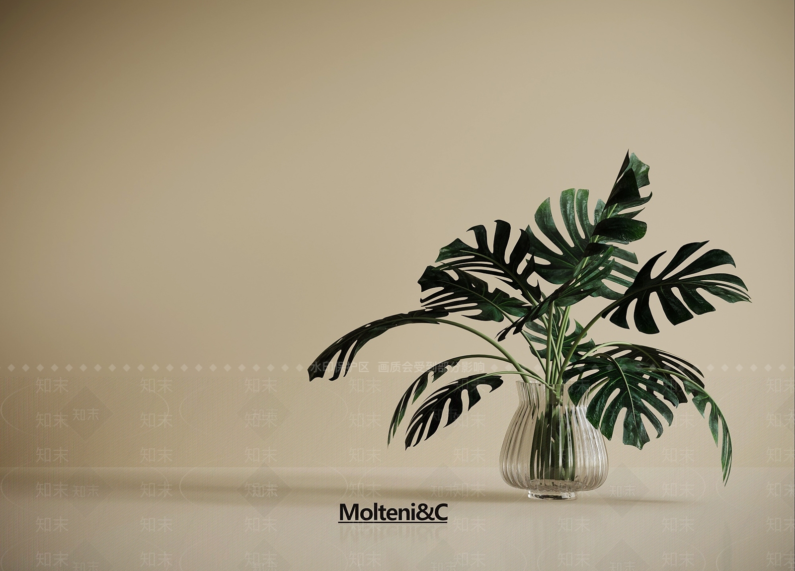 现代绿植摆件3D模型渲染效果图